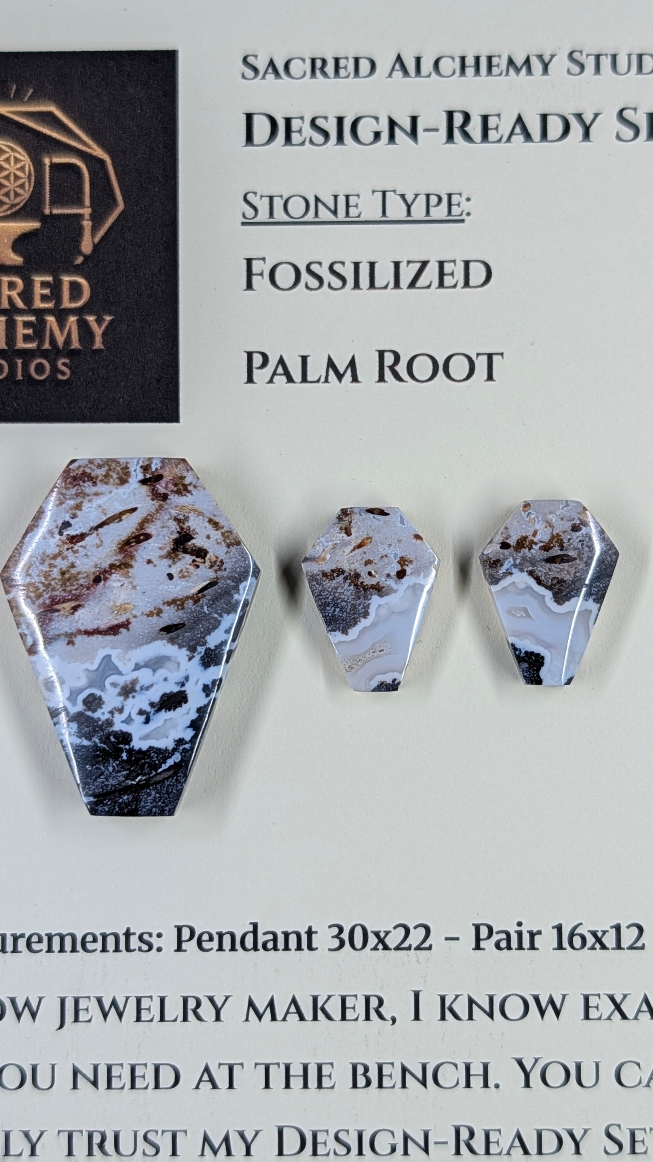 Coffin Shape - Fossilized Palm Root - Design-Ready Set