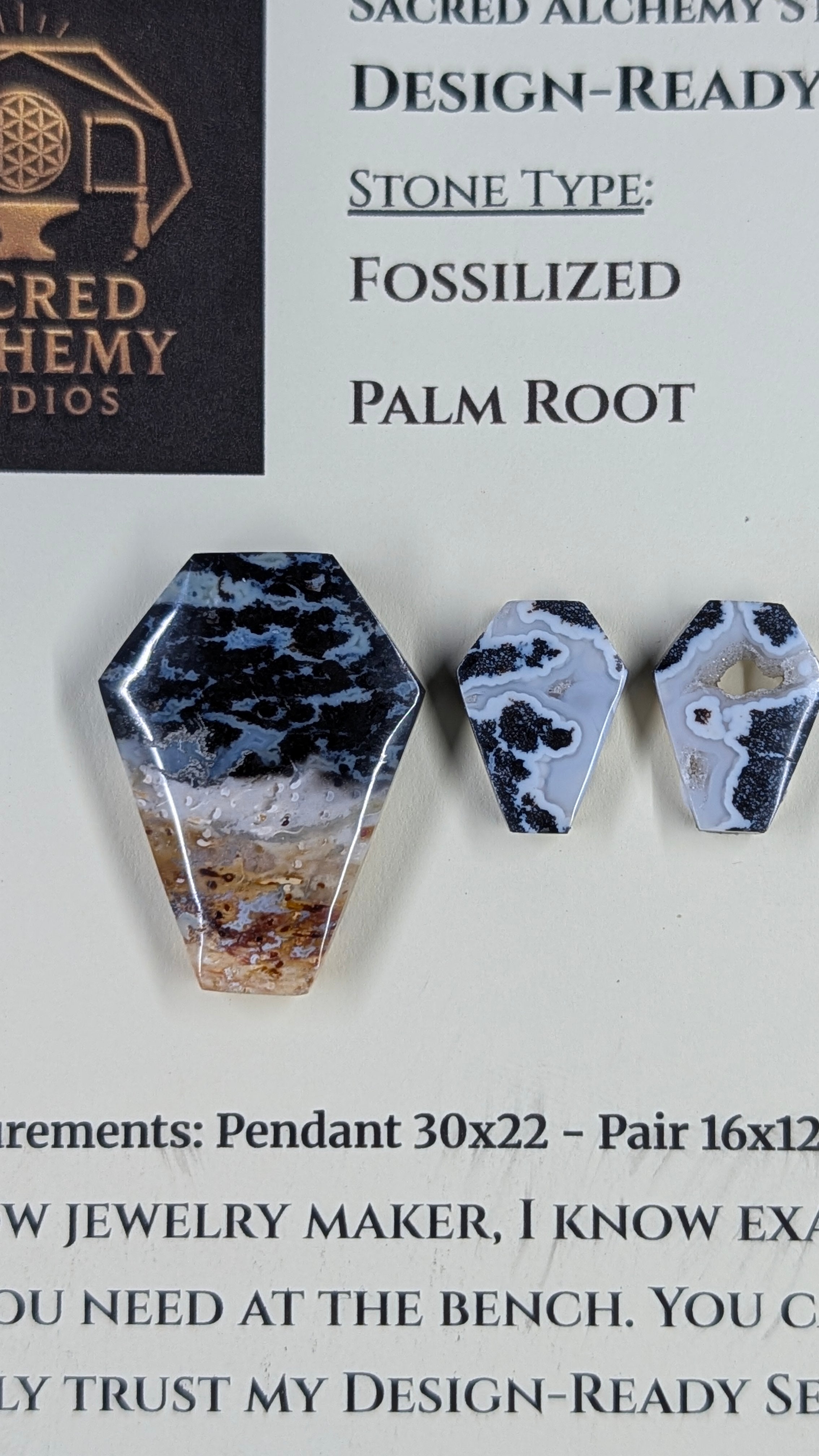 Coffin Shape - Fossilized Palm Root - Design-Ready Set