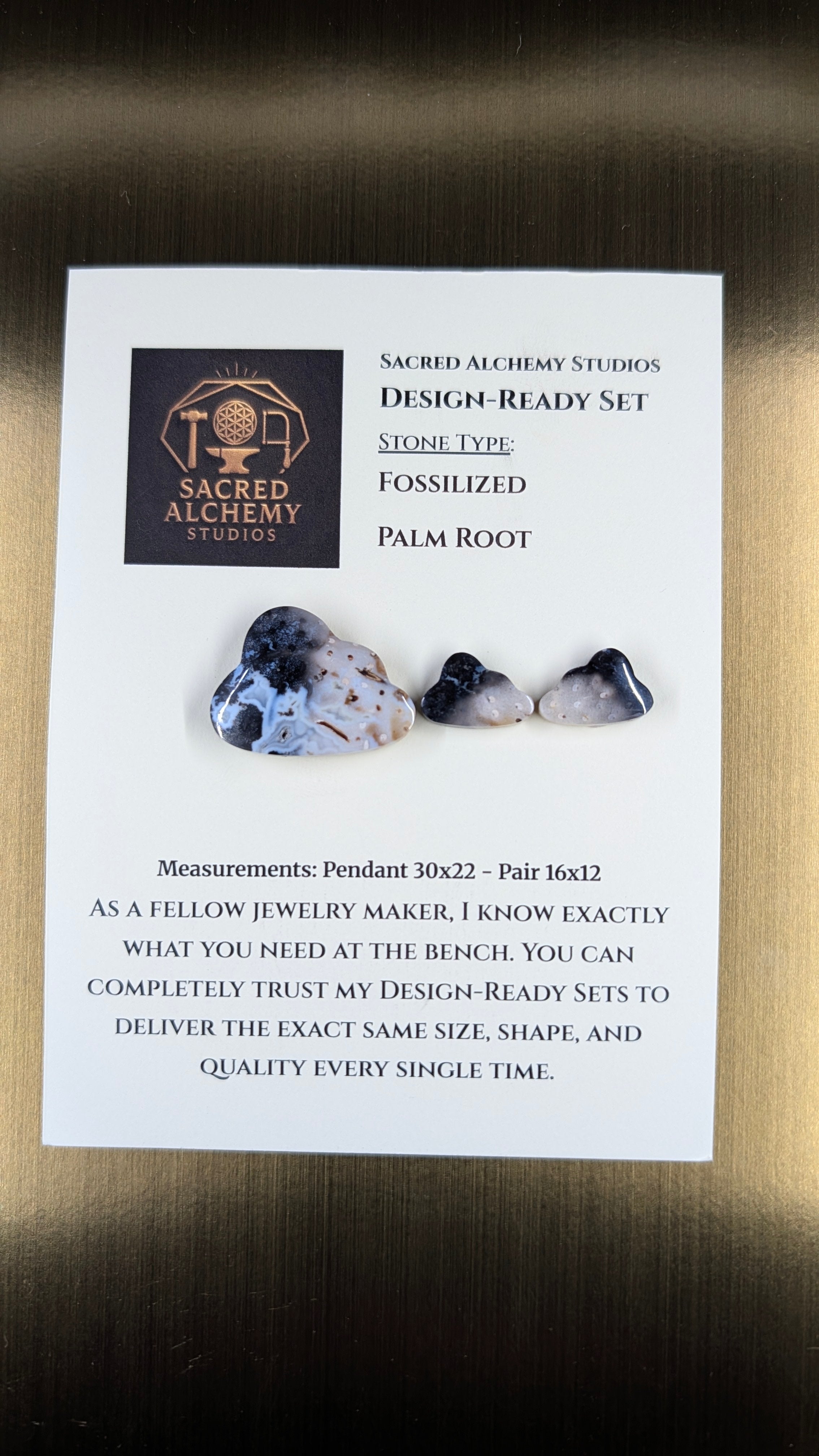Cloud Shape - Fossilized Palm Root - Design-Ready Set