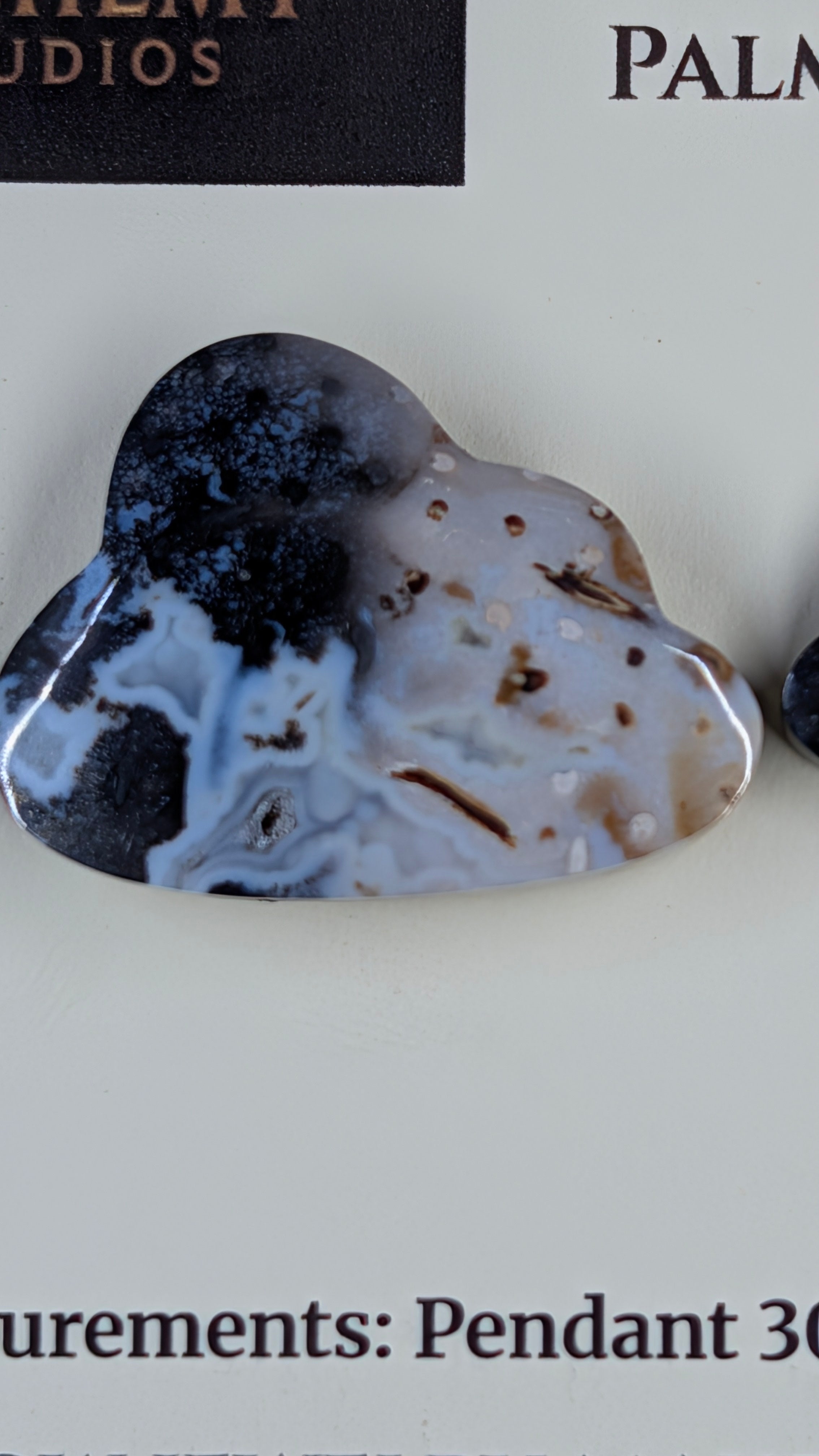 Cloud Shape - Fossilized Palm Root - Design-Ready Set