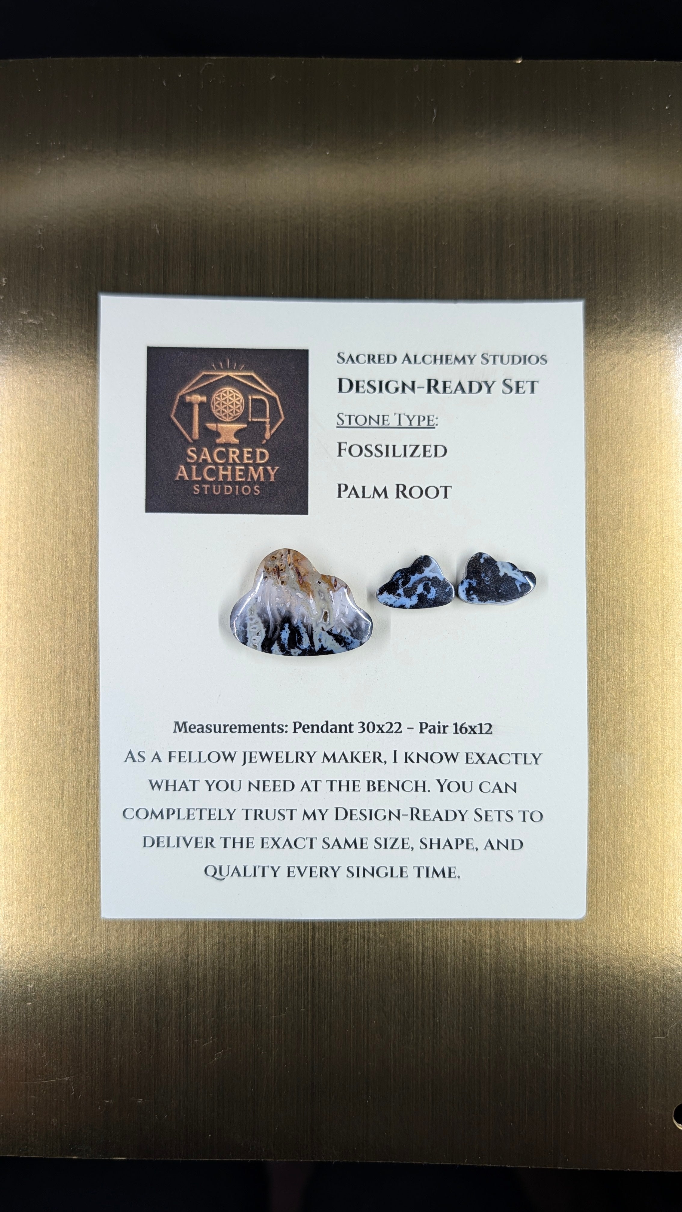 Cloud Shape - Fossilized Palm Root - Design-Ready Set