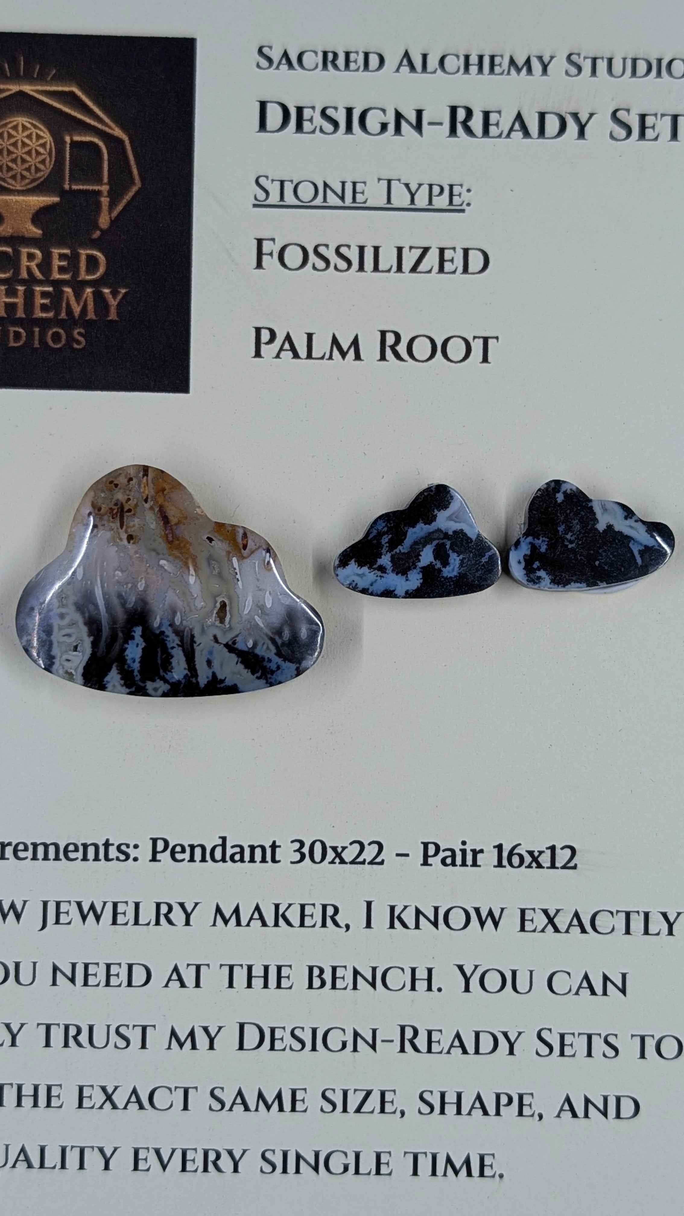 Cloud Shape - Fossilized Palm Root - Design-Ready Set