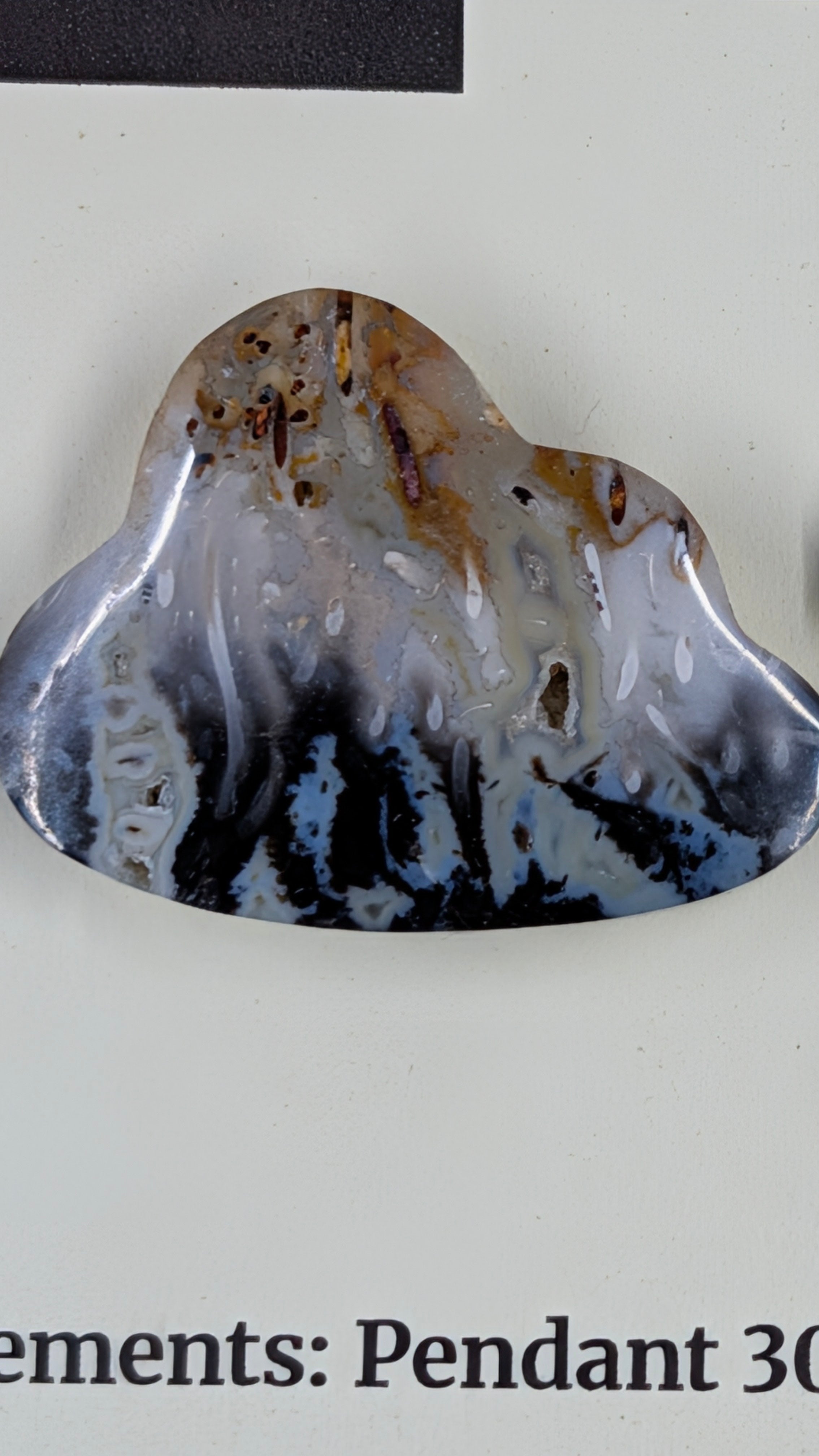 Cloud Shape - Fossilized Palm Root - Design-Ready Set