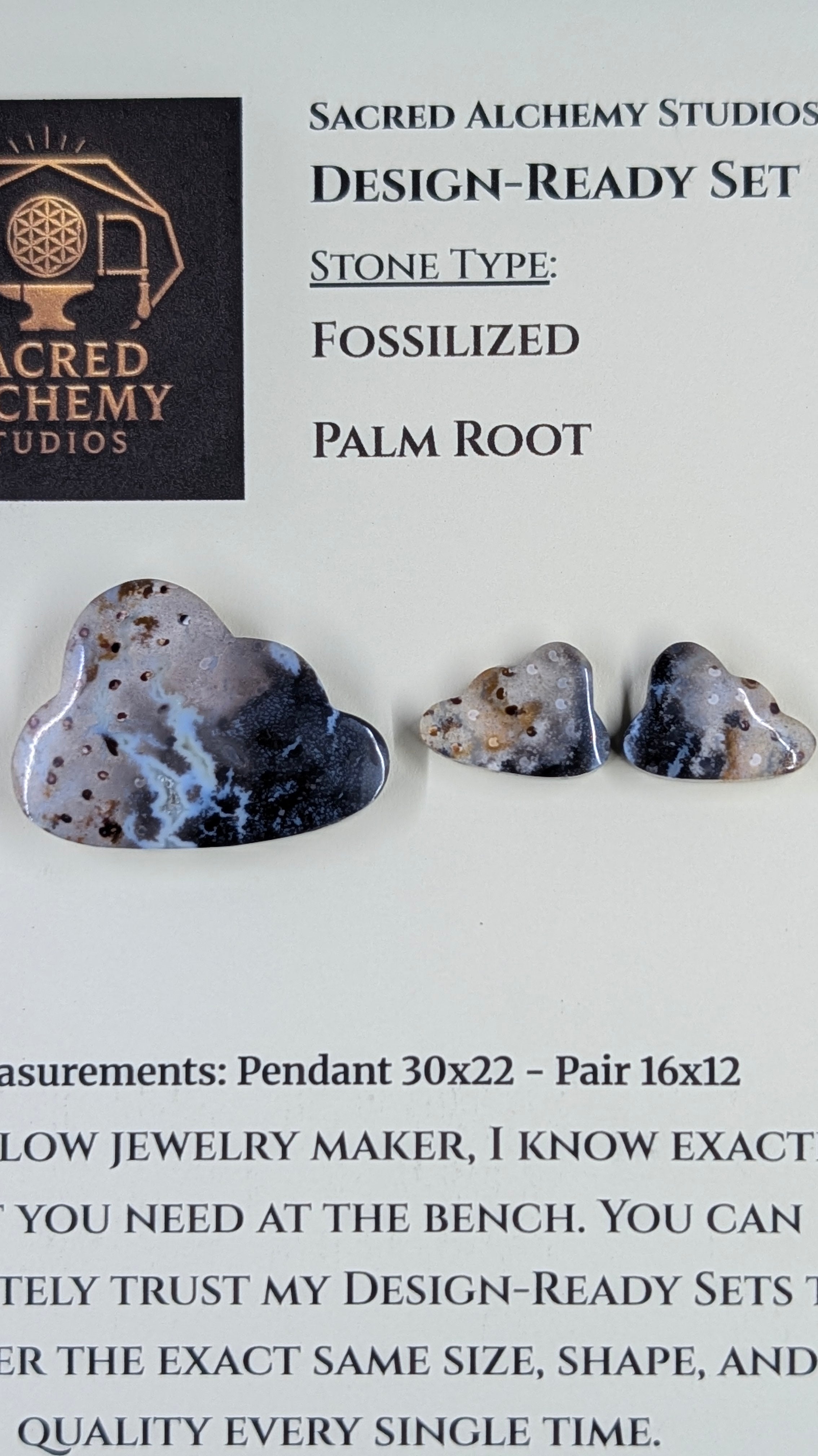 Cloud Shape - Fossilized Palm Root - Design-Ready Set