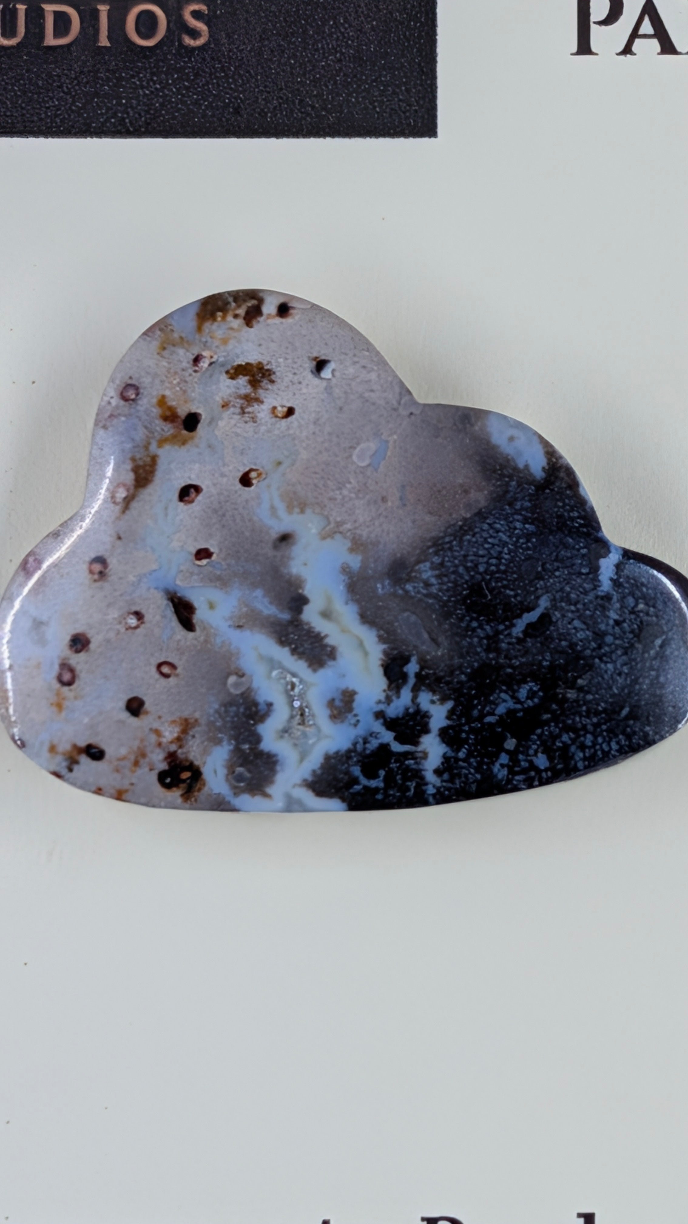 Cloud Shape - Fossilized Palm Root - Design-Ready Set