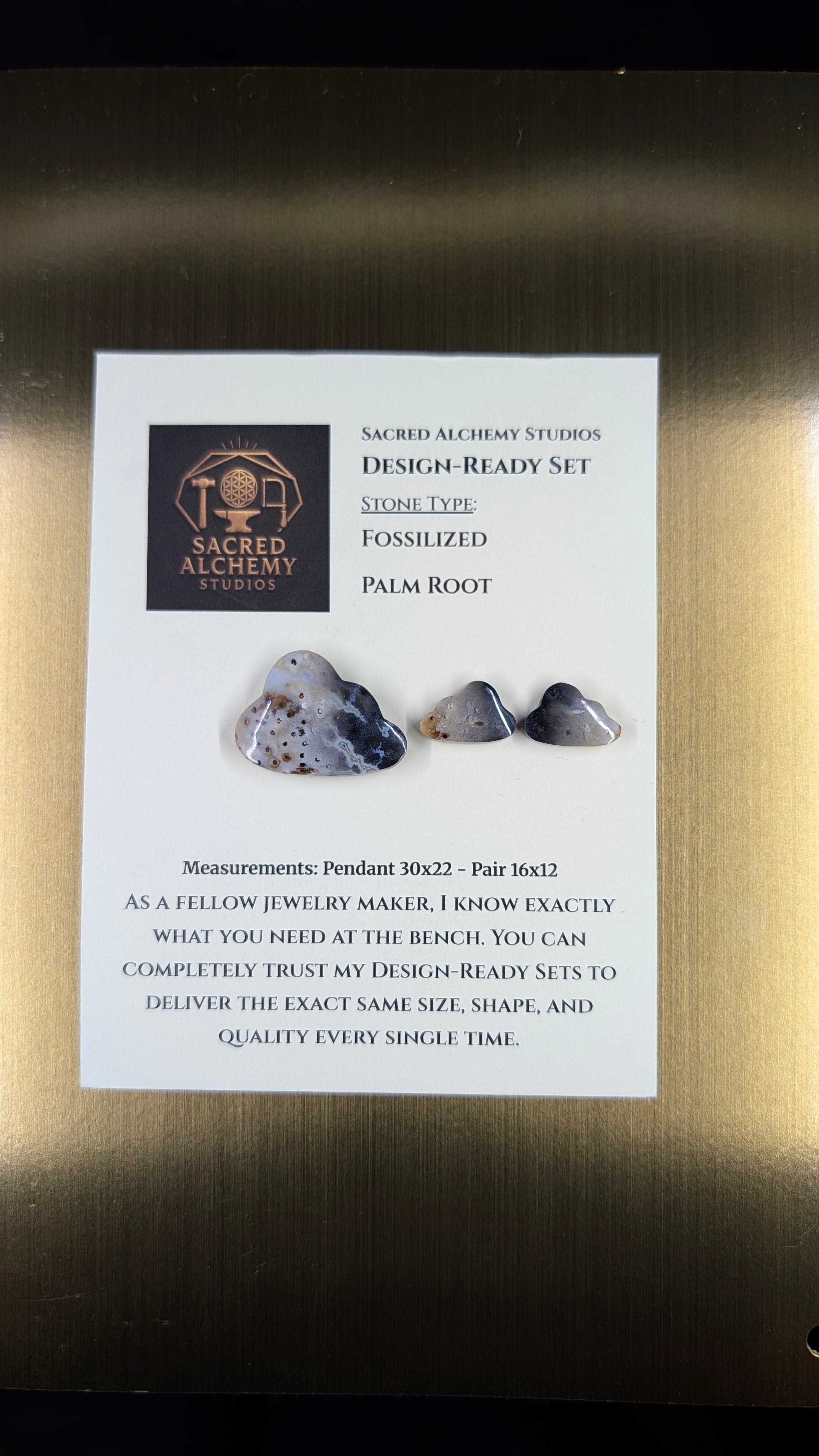 Cloud Shape - Fossilized Palm Root - Design-Ready Set