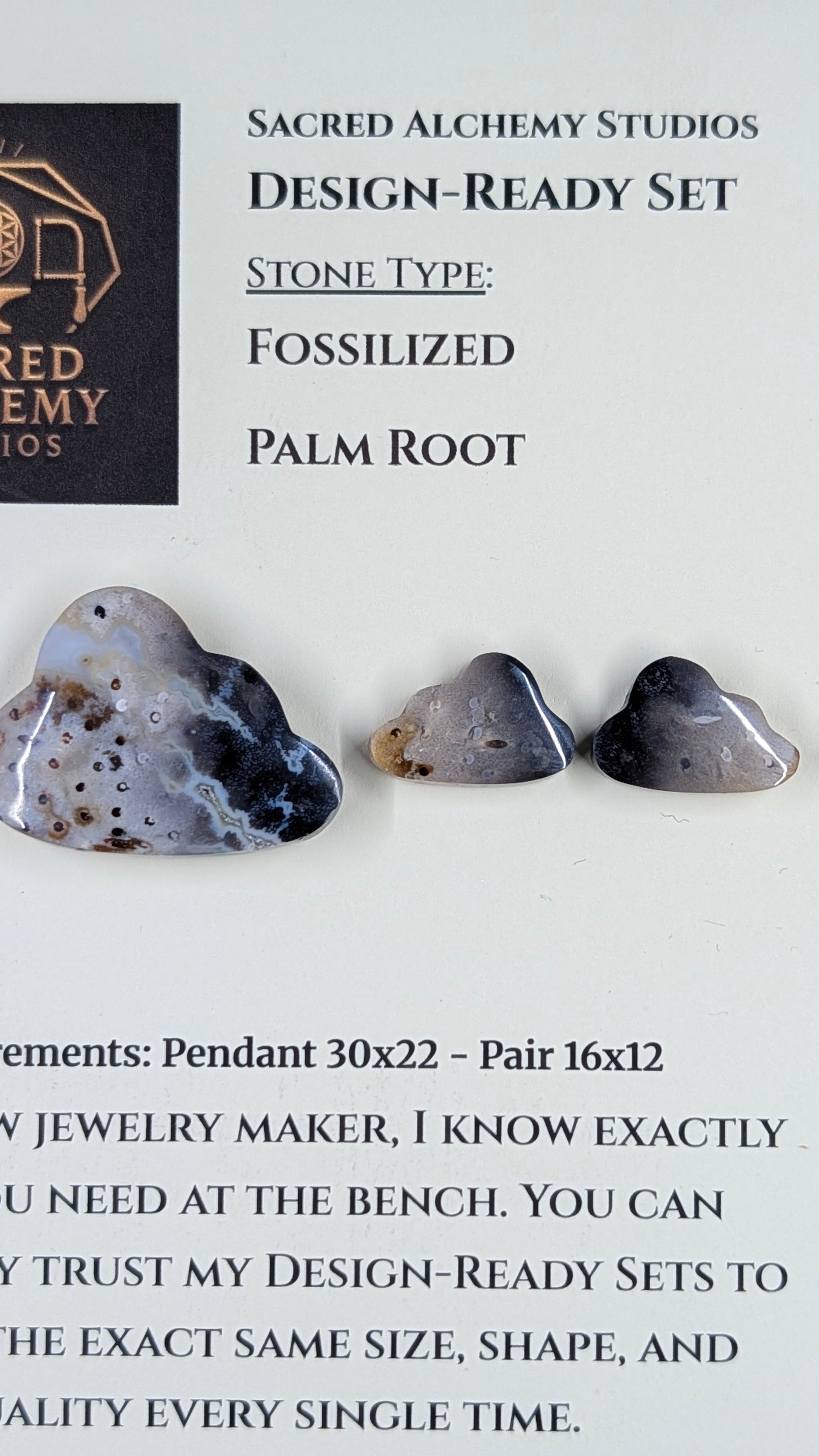 Cloud Shape - Fossilized Palm Root - Design-Ready Set