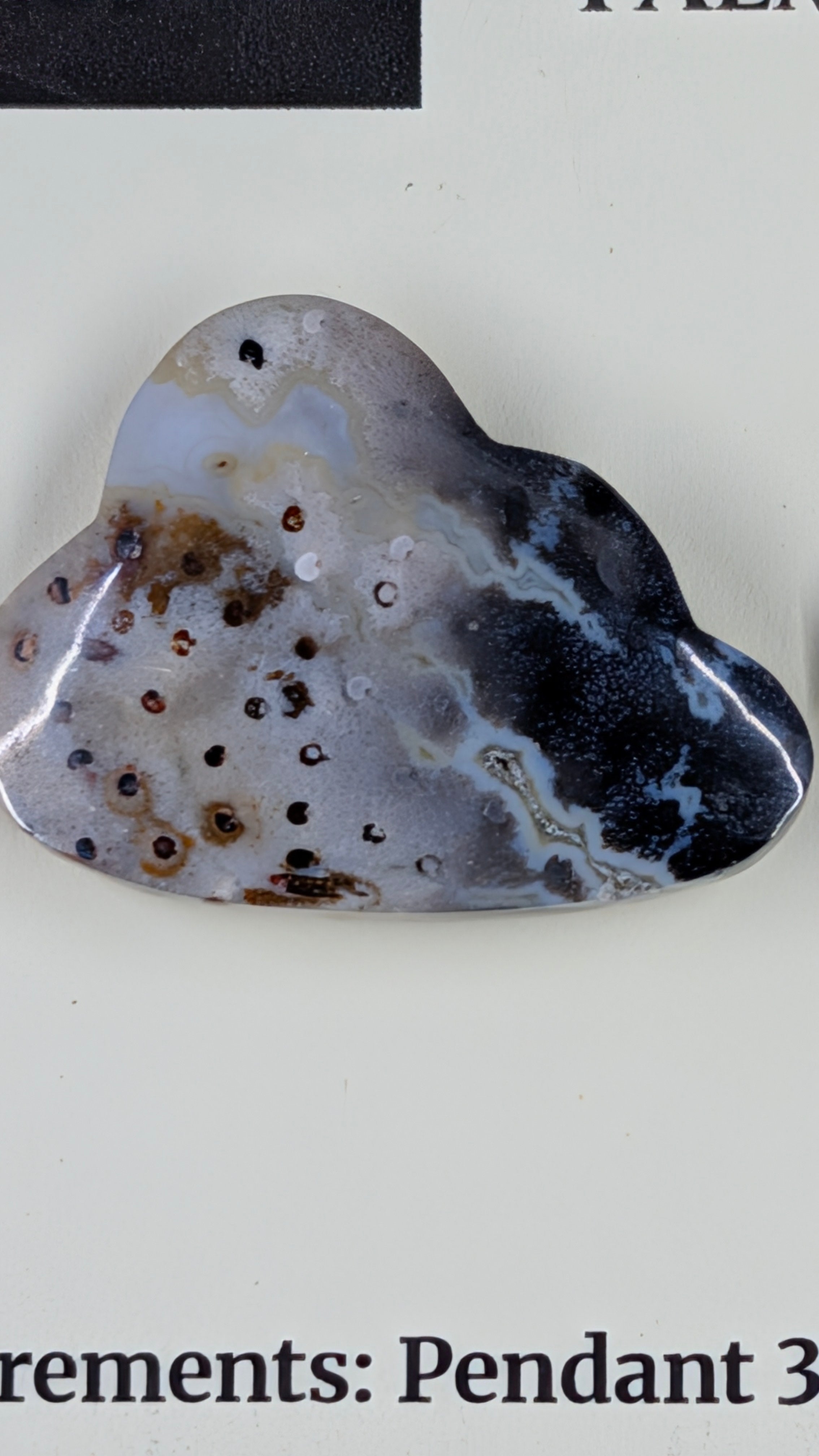 Cloud Shape - Fossilized Palm Root - Design-Ready Set