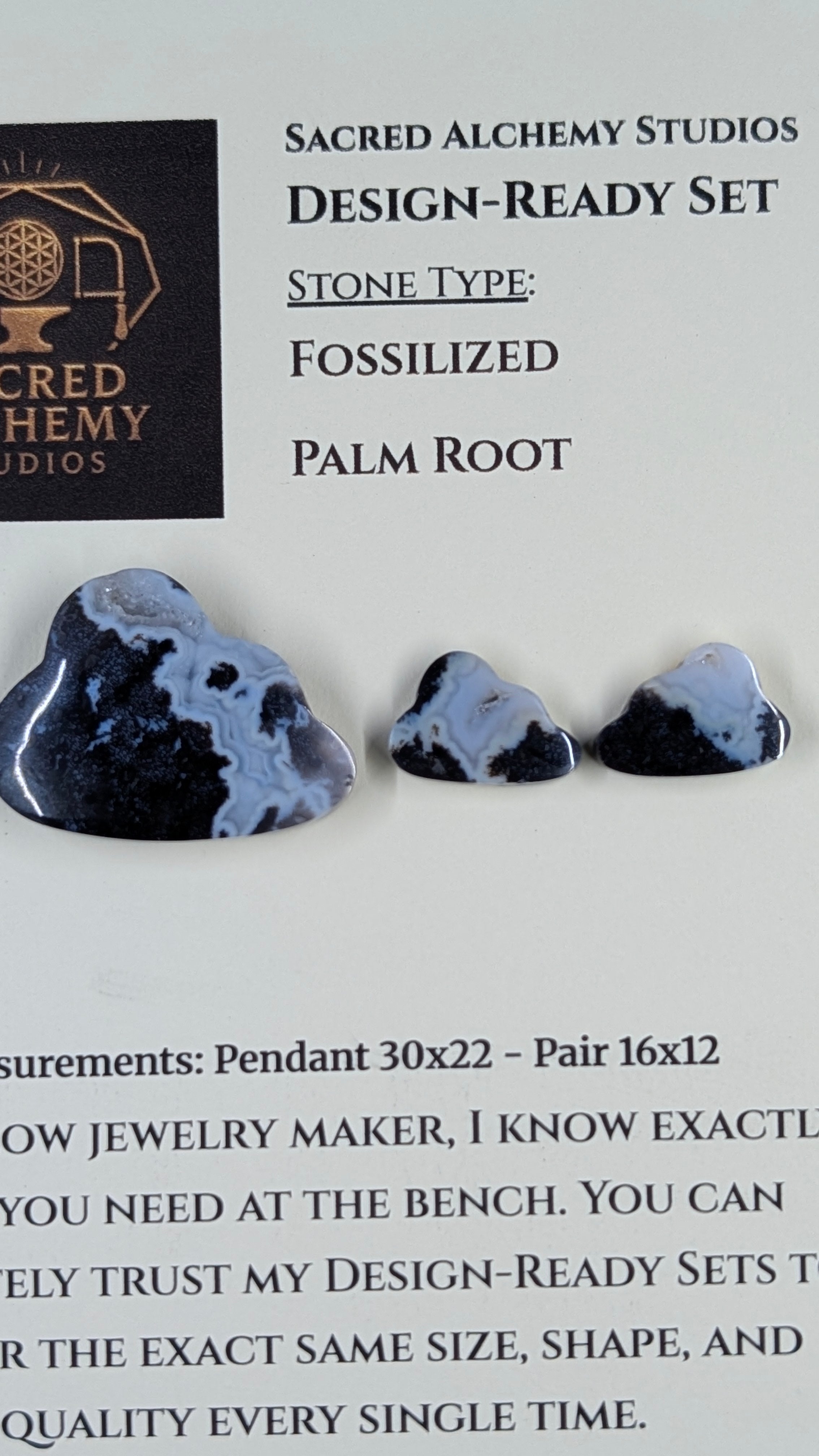 Cloud Shape - Fossilized Palm Root - Design-Ready Set