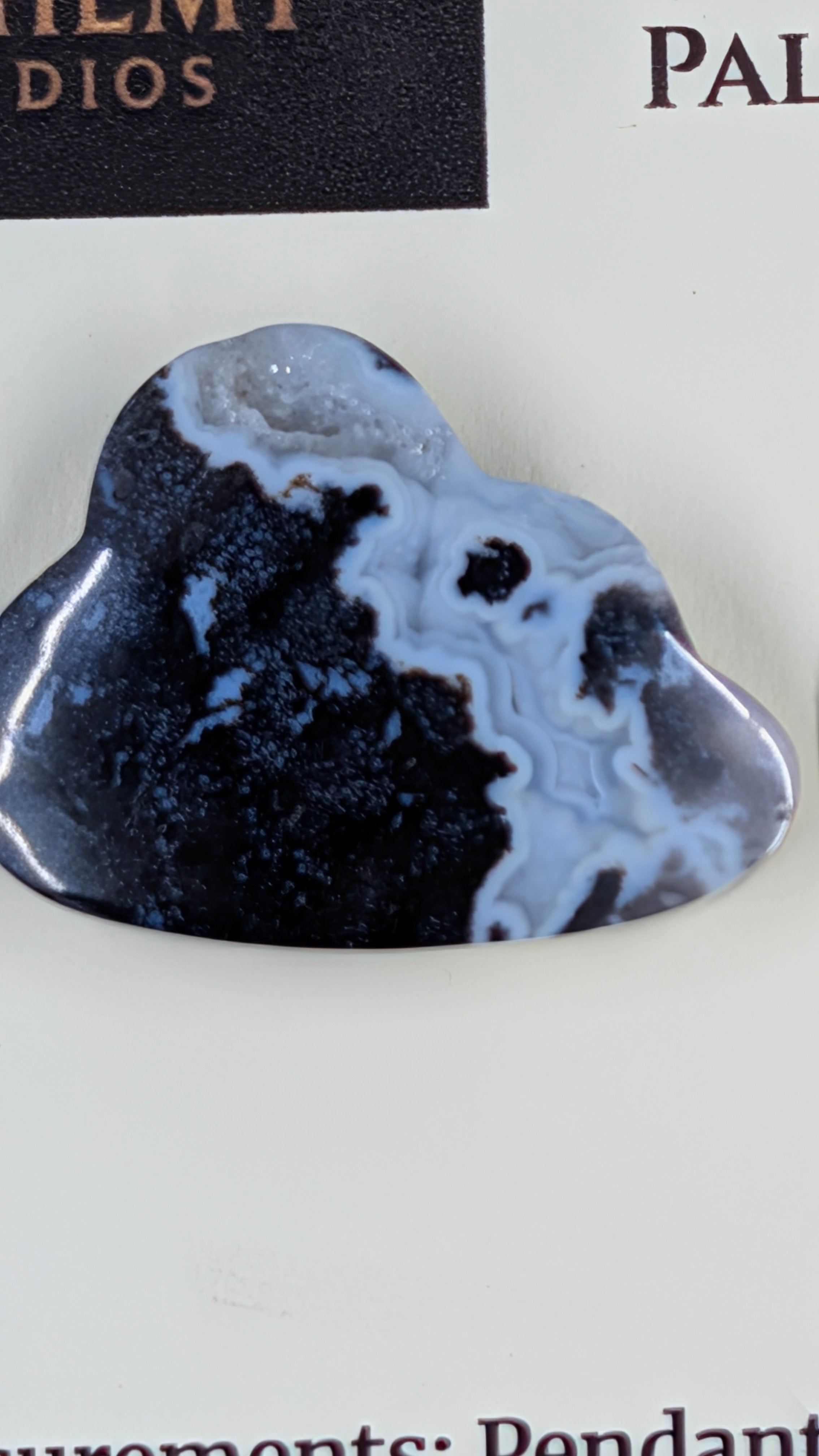 Cloud Shape - Fossilized Palm Root - Design-Ready Set