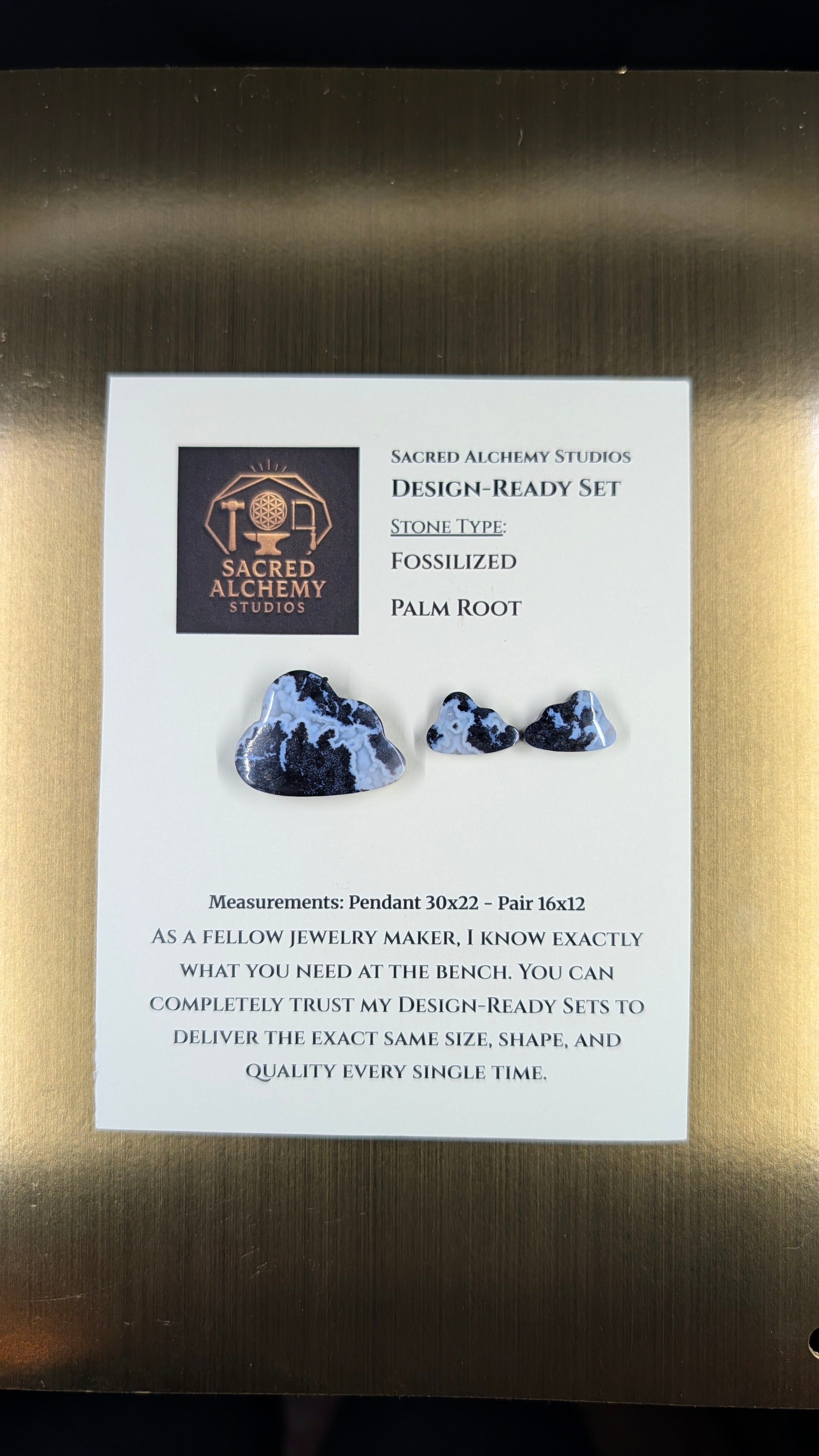 Cloud Shape - Fossilized Palm Root - Design-Ready Set
