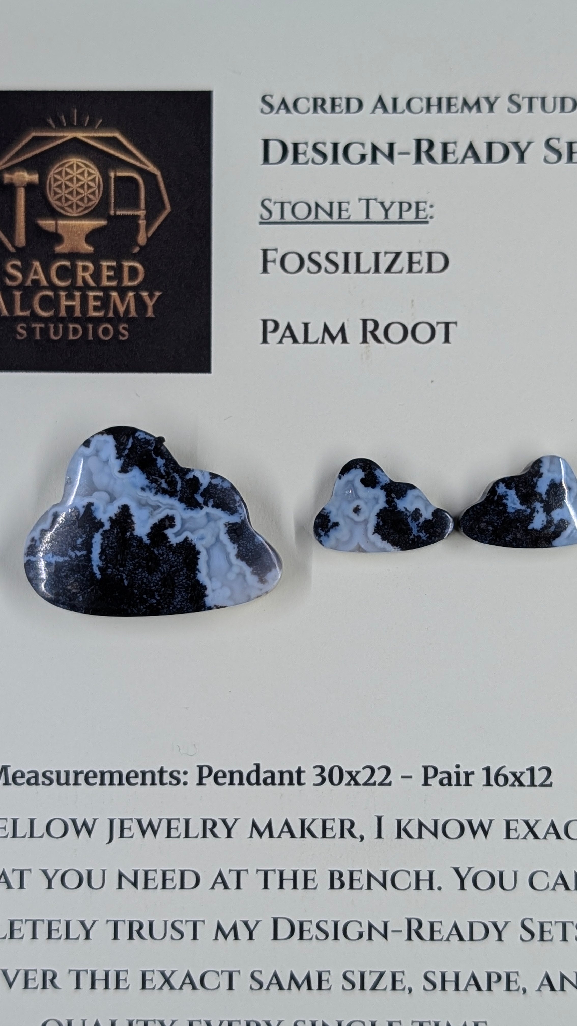 Cloud Shape - Fossilized Palm Root - Design-Ready Set