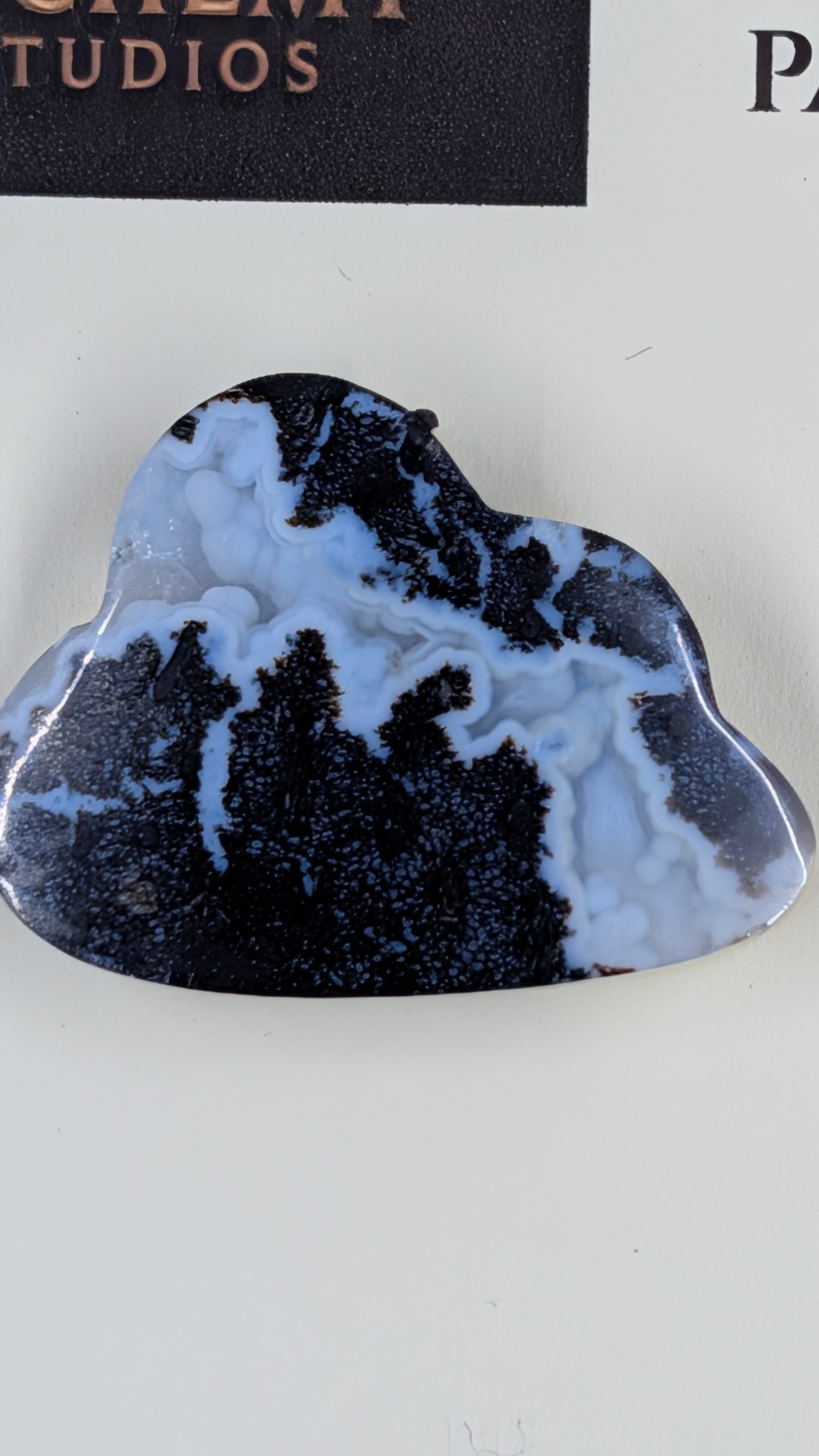 Cloud Shape - Fossilized Palm Root - Design-Ready Set