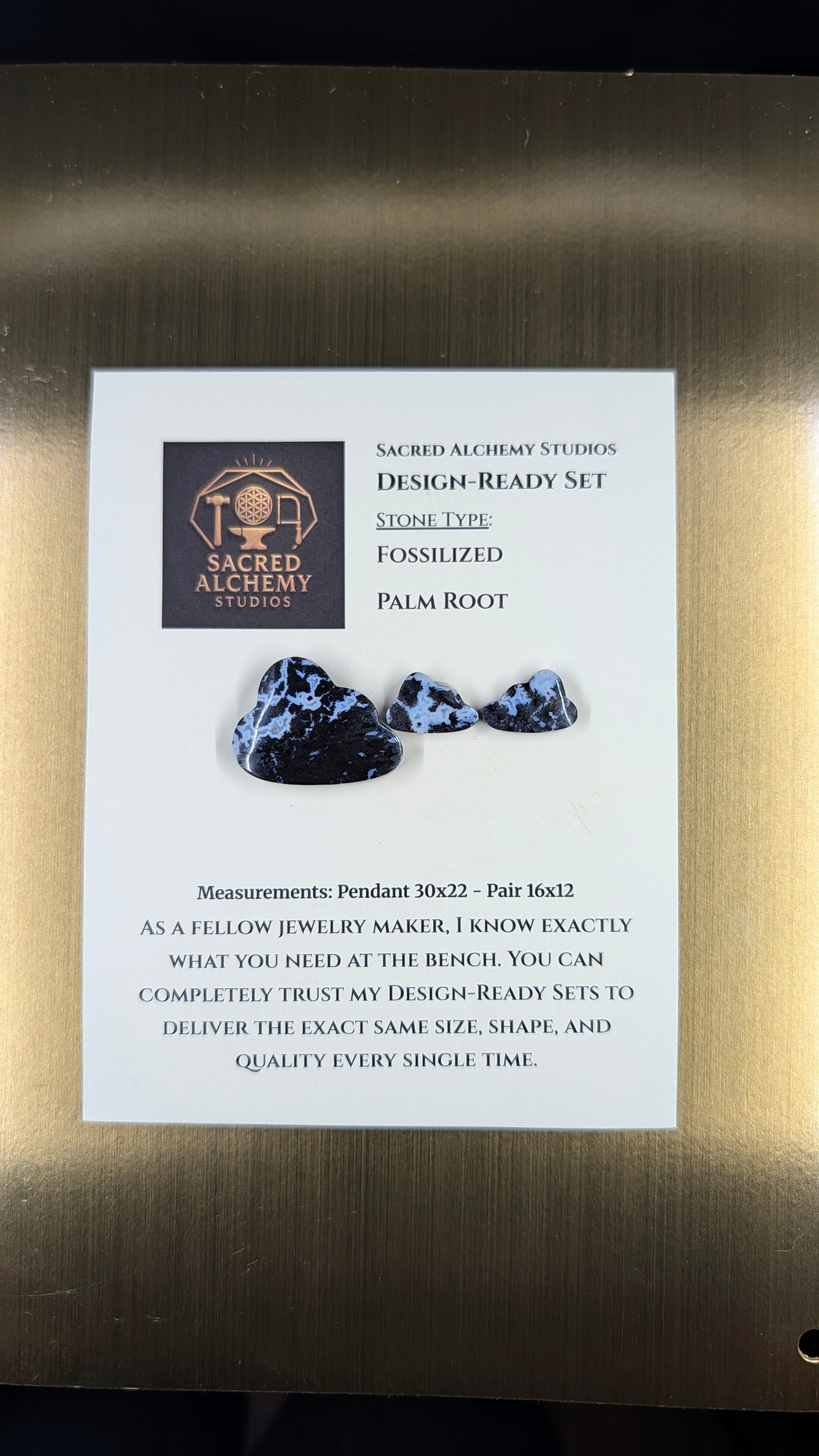 Cloud Shape - Fossilized Palm Root - Design-Ready Set