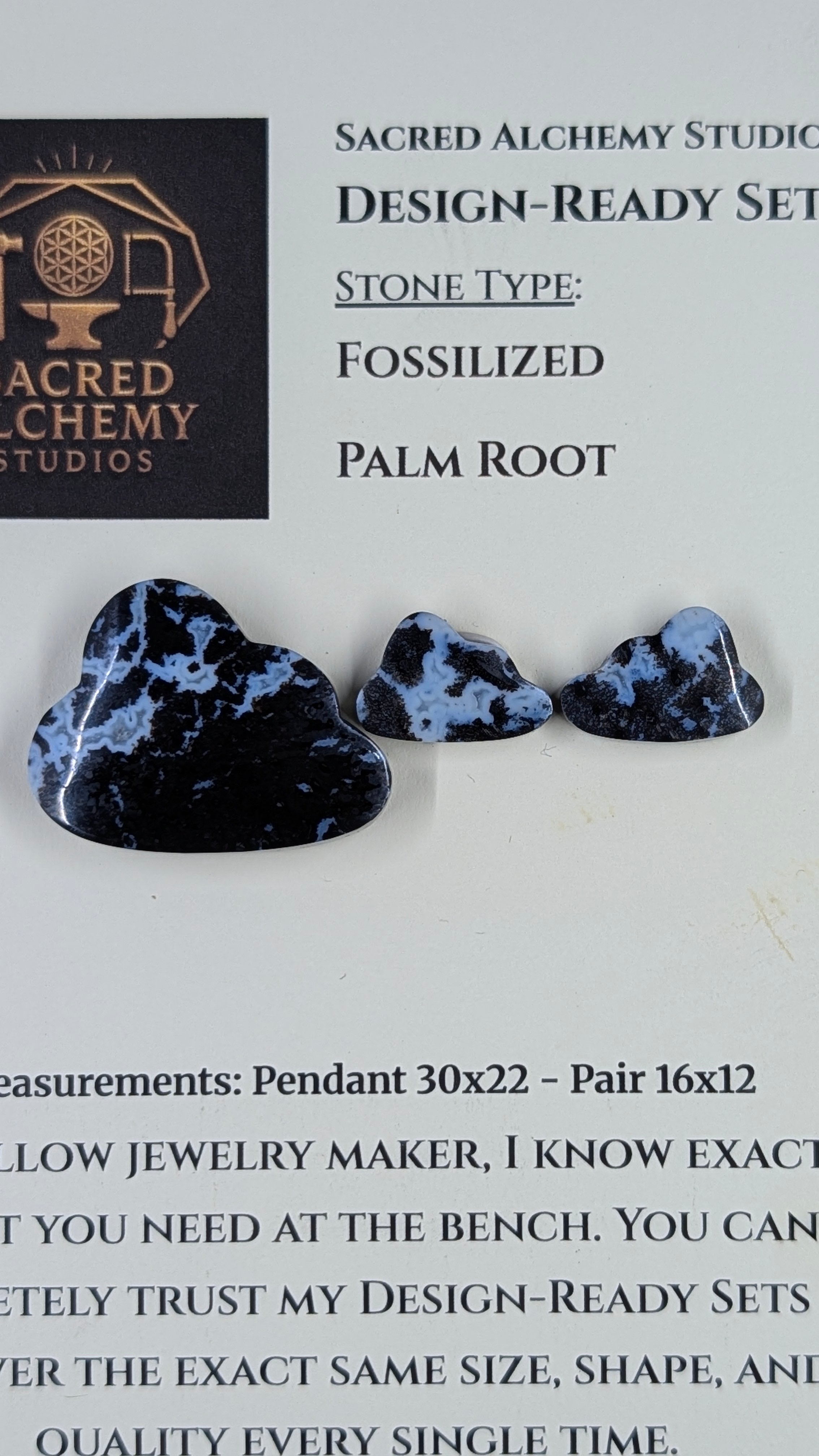 Cloud Shape - Fossilized Palm Root - Design-Ready Set