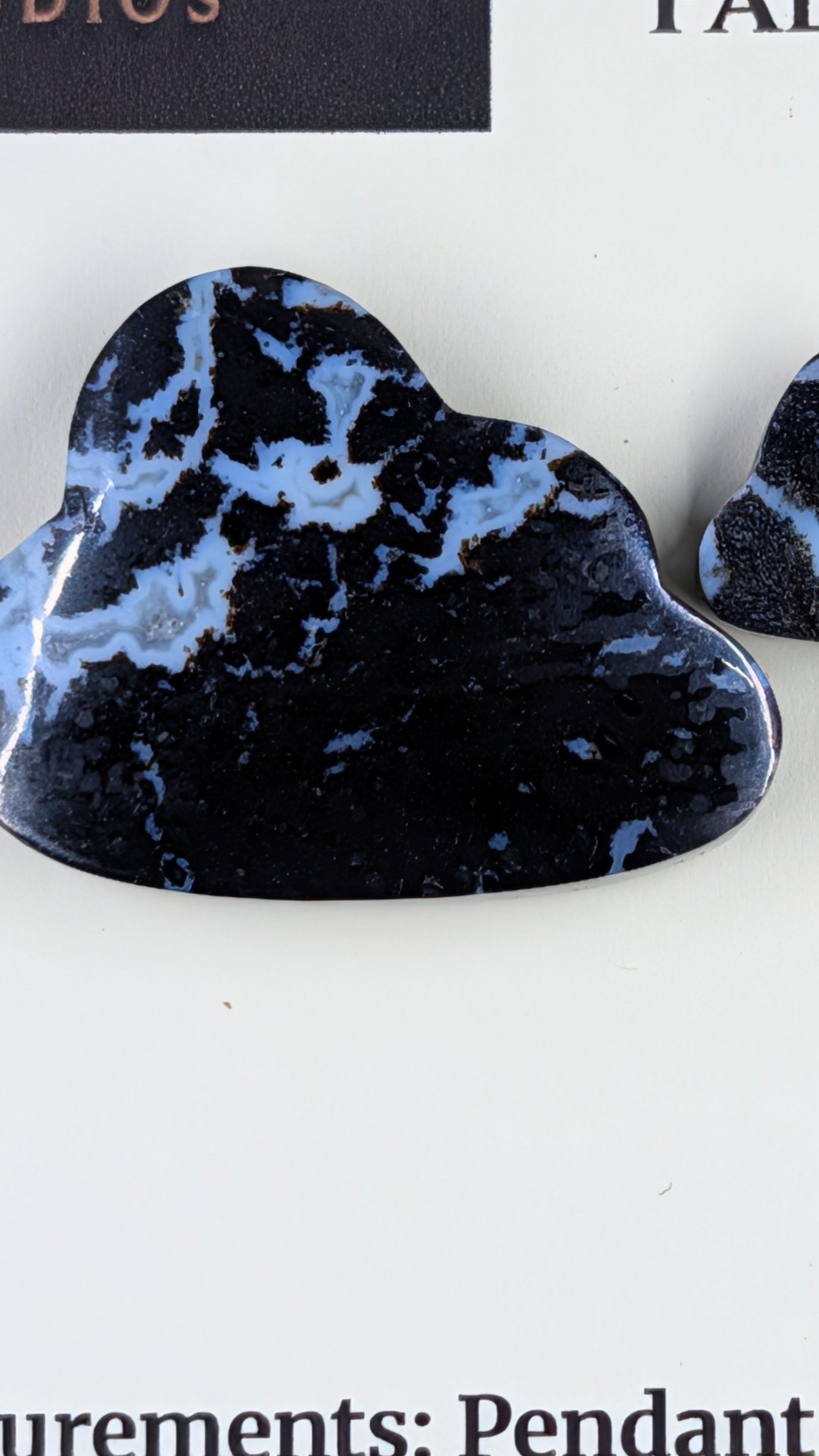 Cloud Shape - Fossilized Palm Root - Design-Ready Set