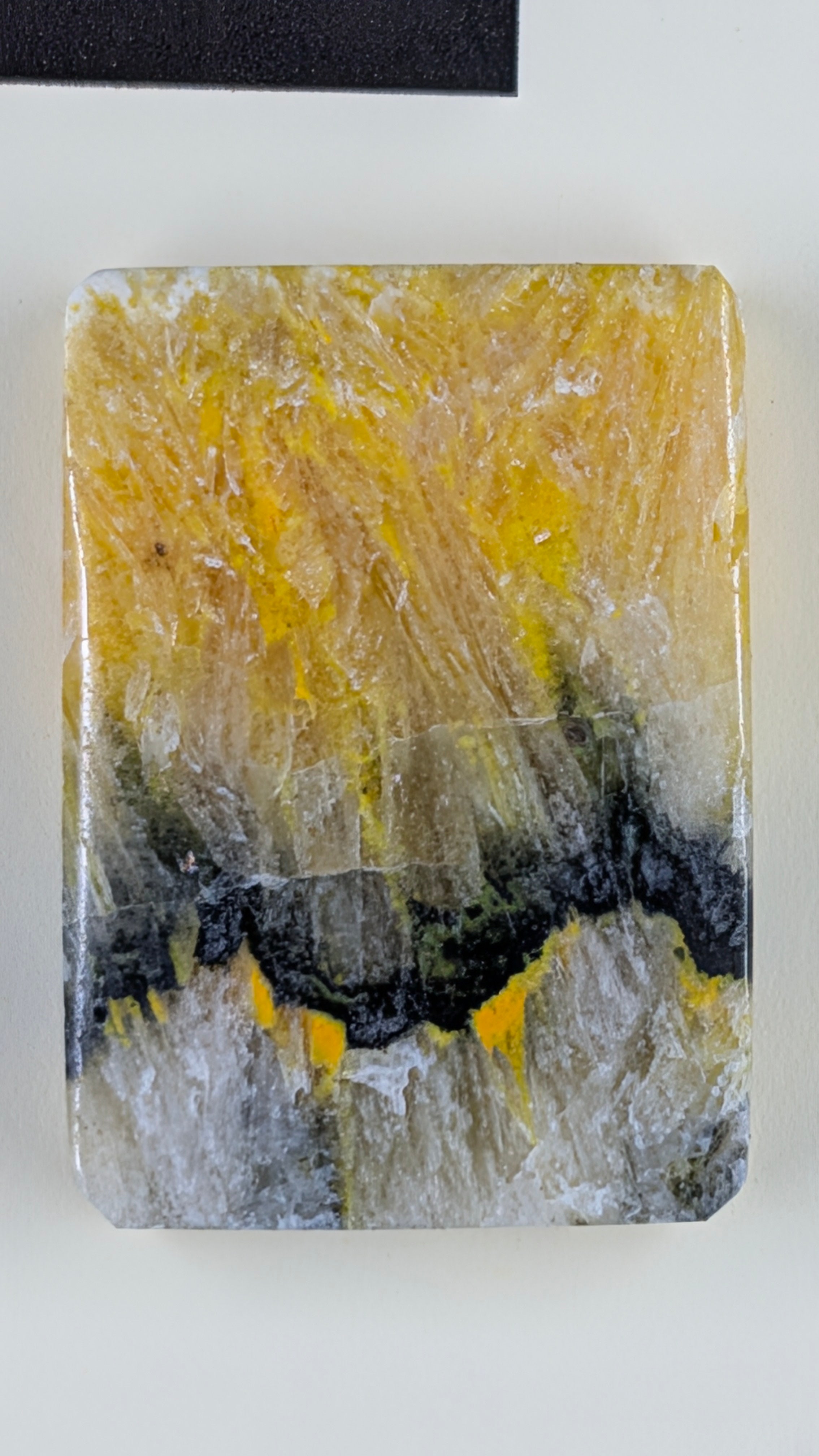 Rectangle Shape - Bumblebee Jasper - Design-Ready Set