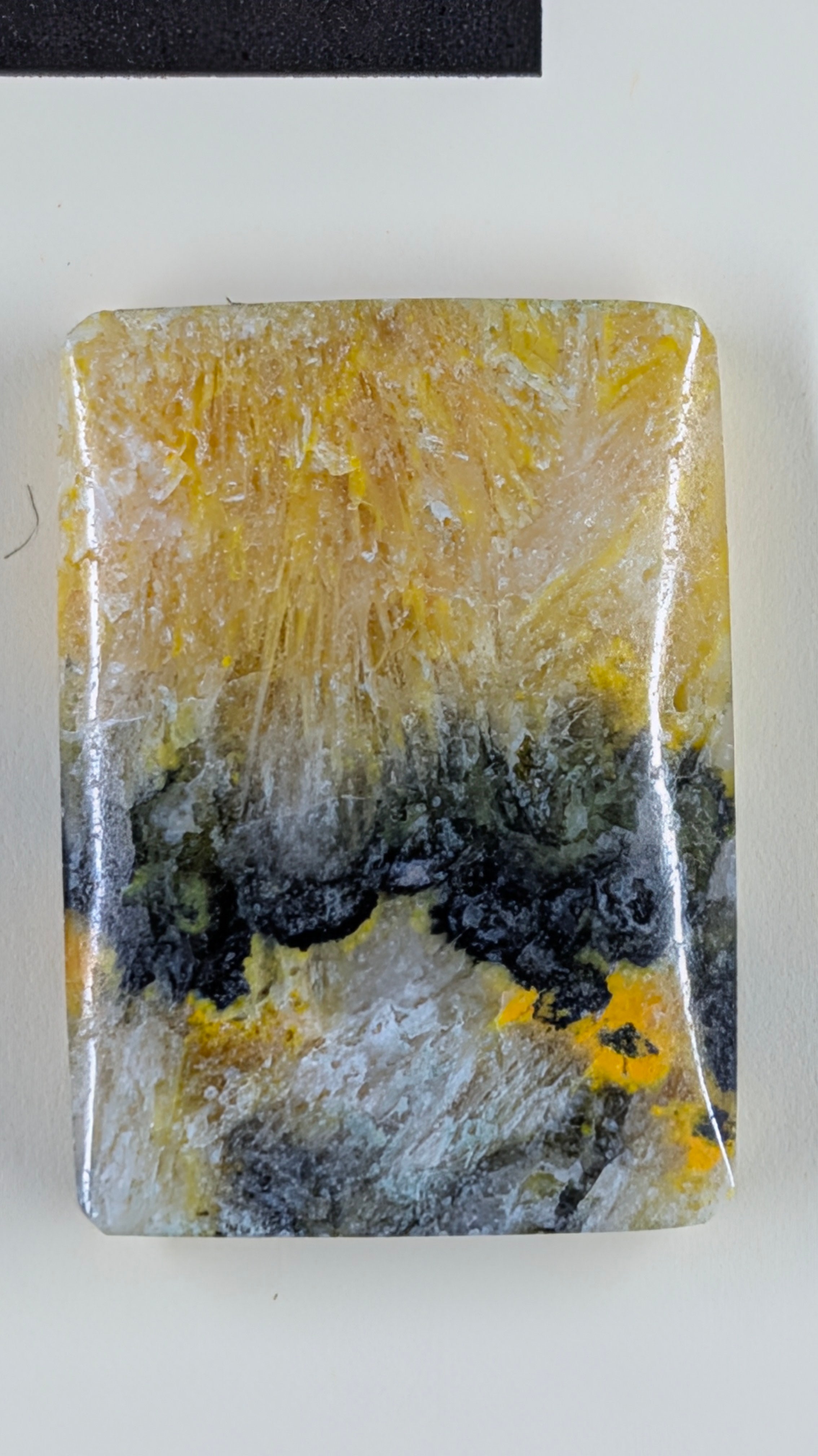 Rectangle Shape - Bumblebee Jasper - Design-Ready Set