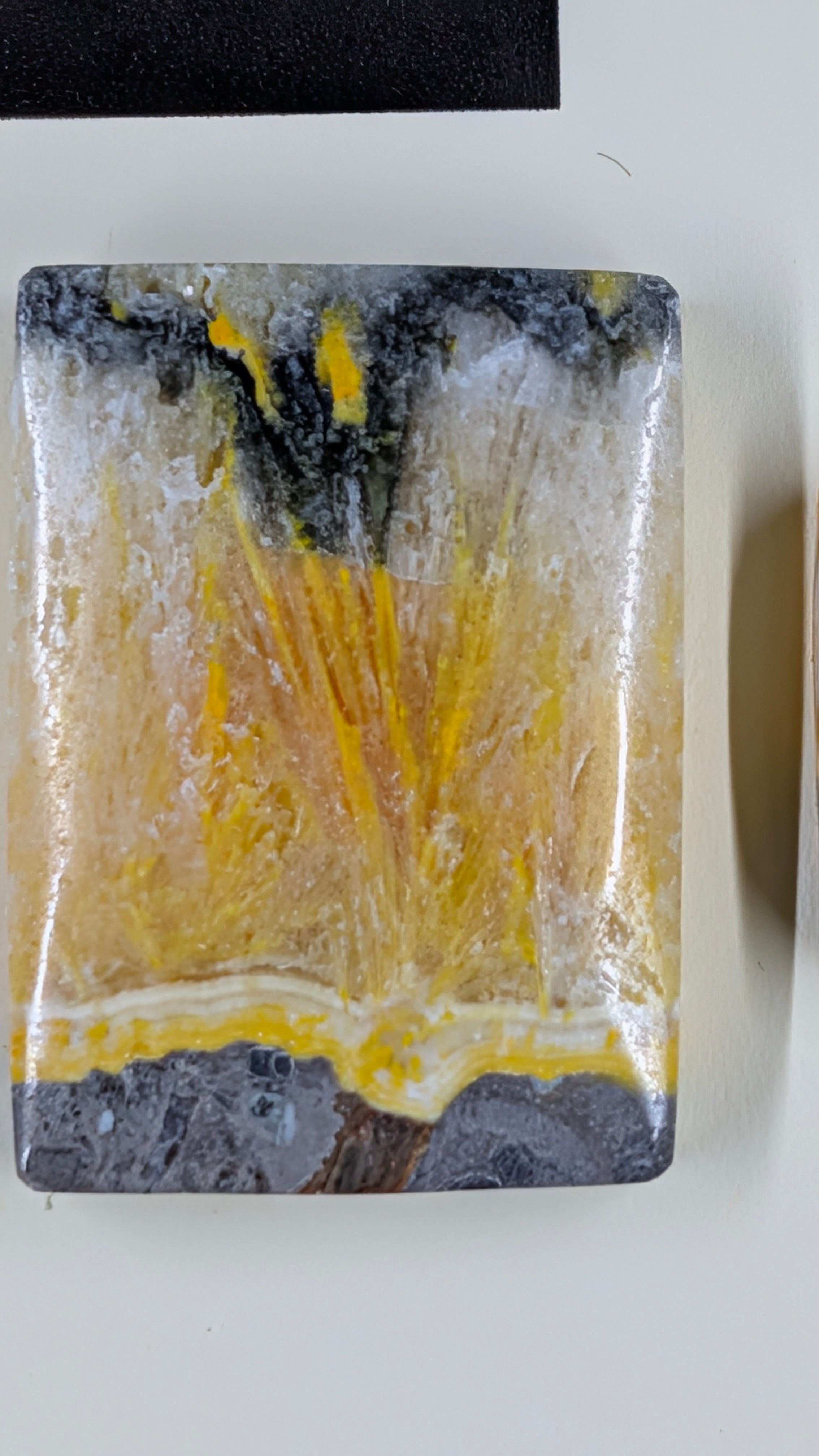 Rectangle Shape - Bumblebee Jasper - Design-Ready Set