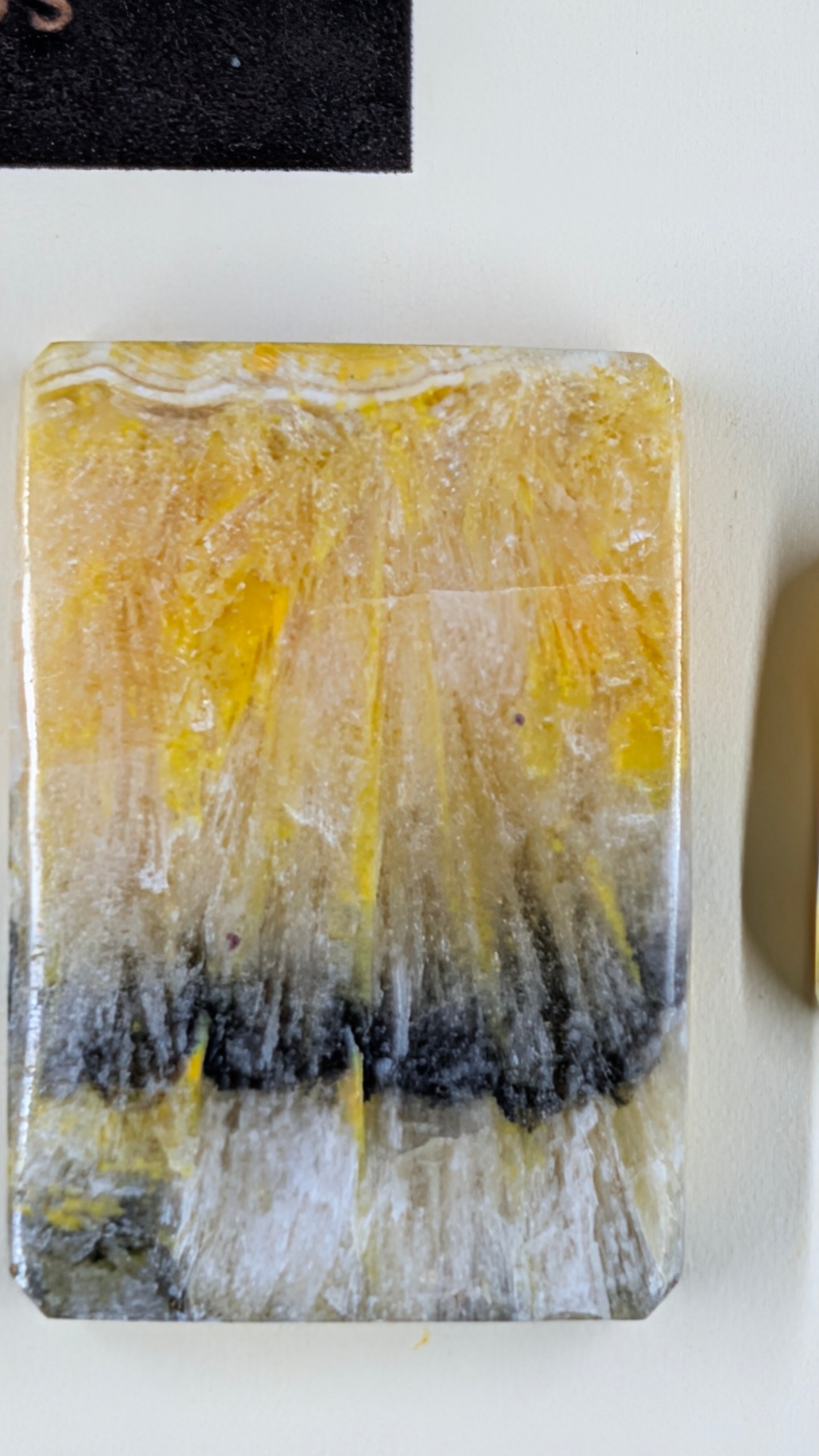 Rectangle Shape - Bumblebee Jasper - Design-Ready Set