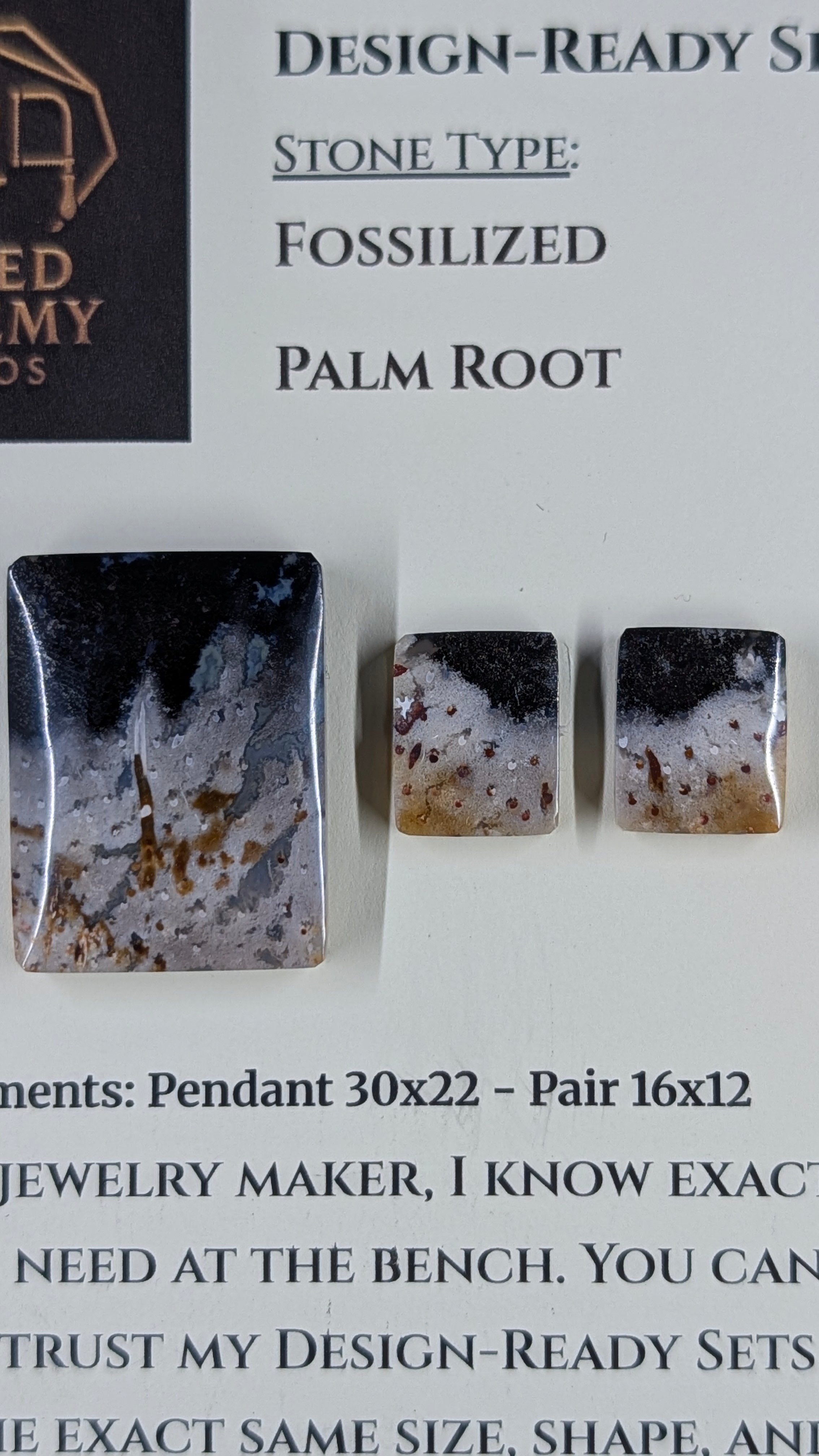 Rectangle Shape - Fossilized Palm Root - Design-Ready Set