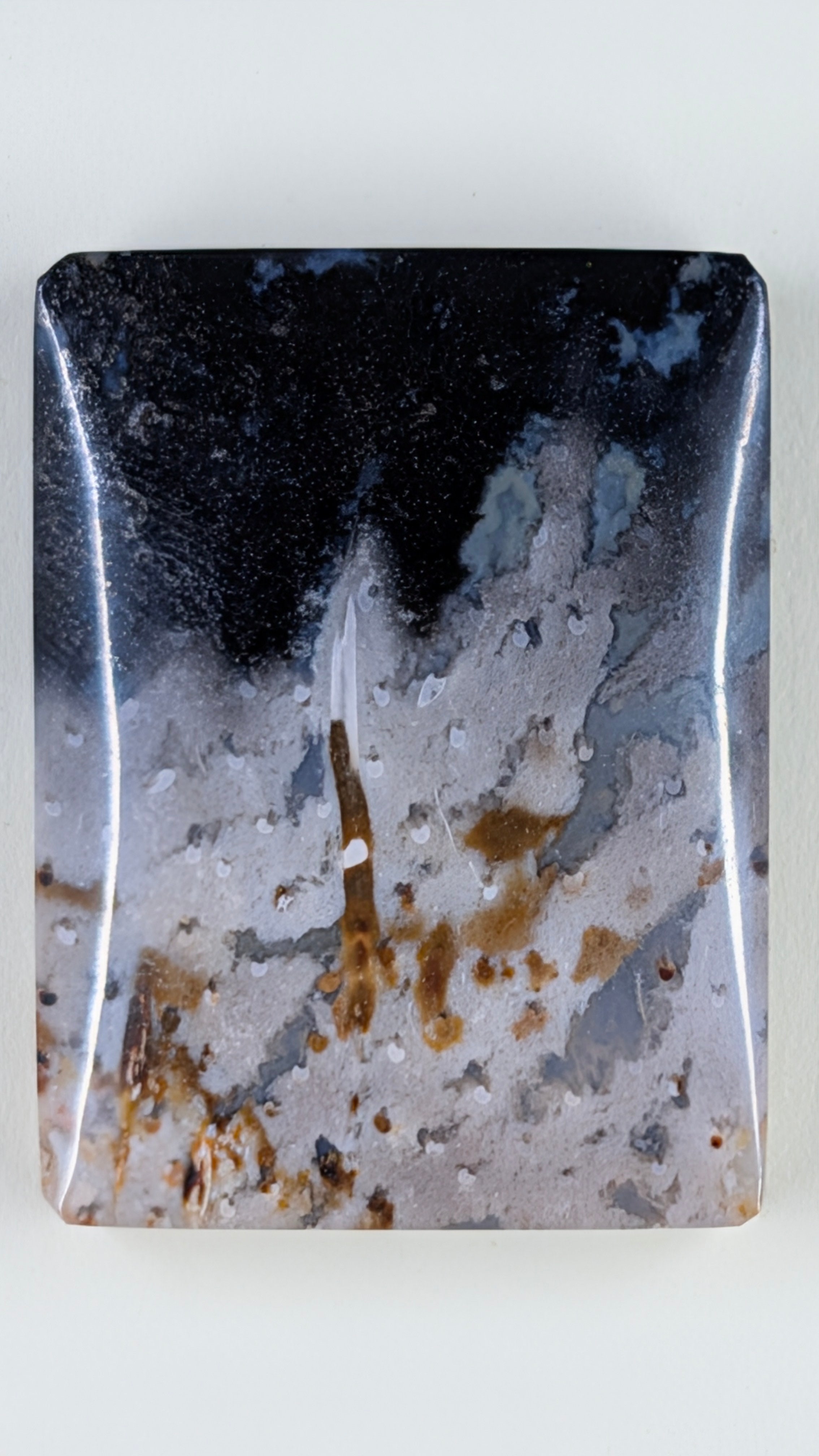 Rectangle Shape - Fossilized Palm Root - Design-Ready Set