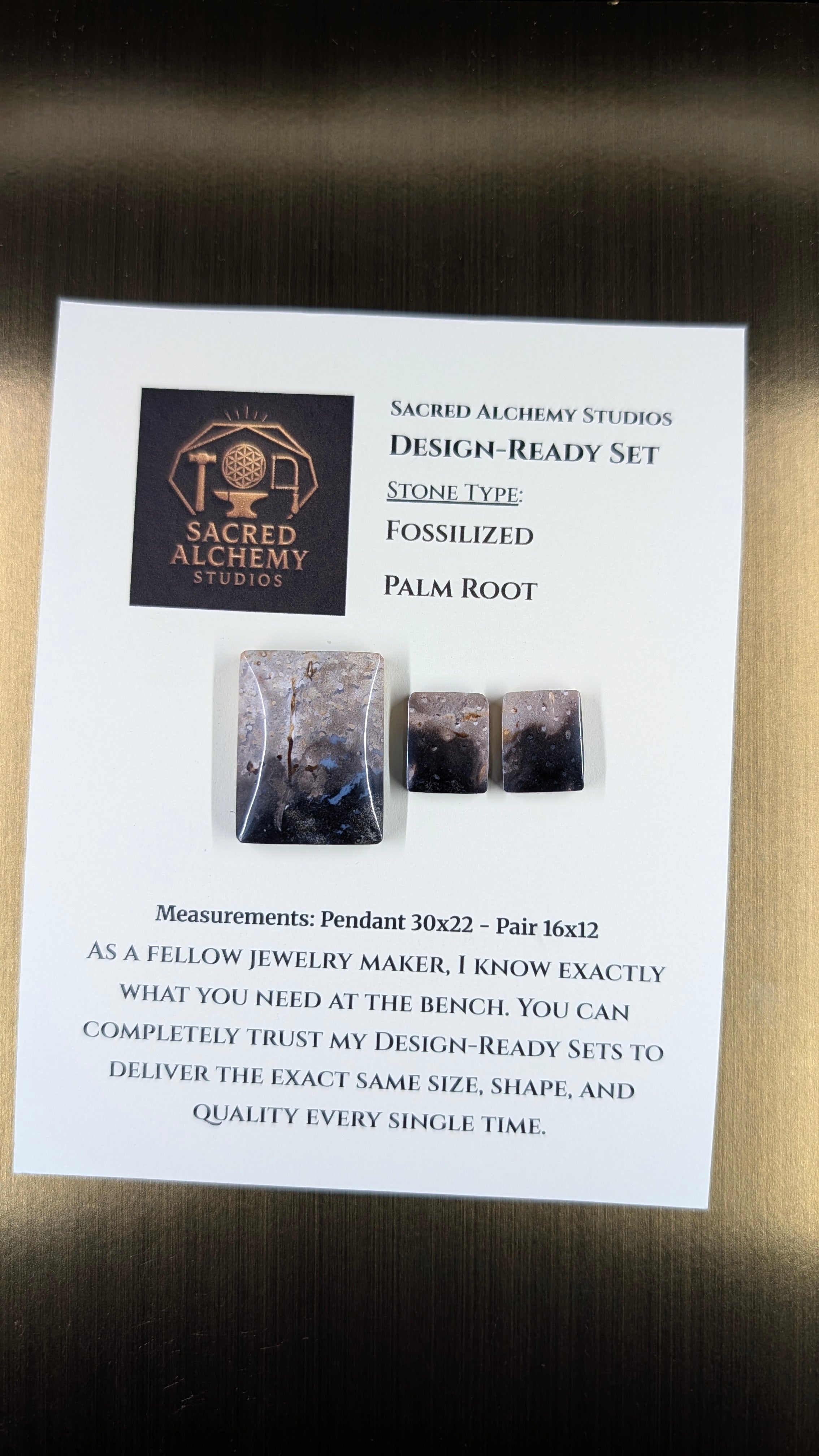 Rectangle Shape - Fossilized Palm Root - Design-Ready Set
