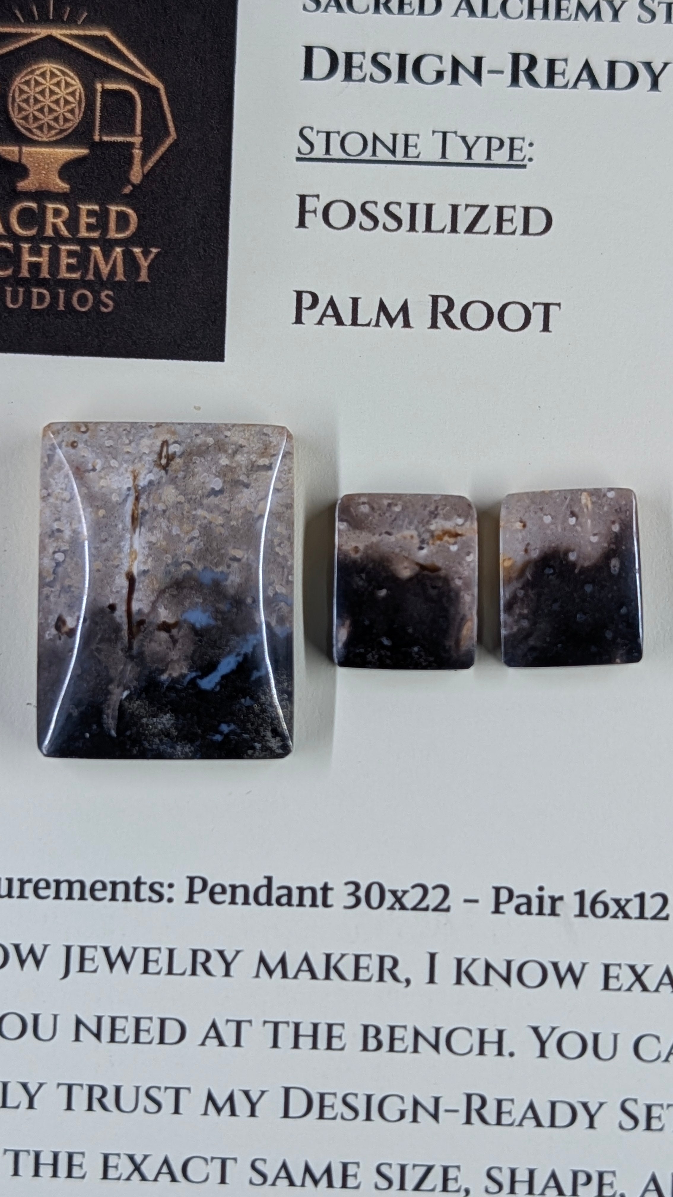 Rectangle Shape - Fossilized Palm Root - Design-Ready Set