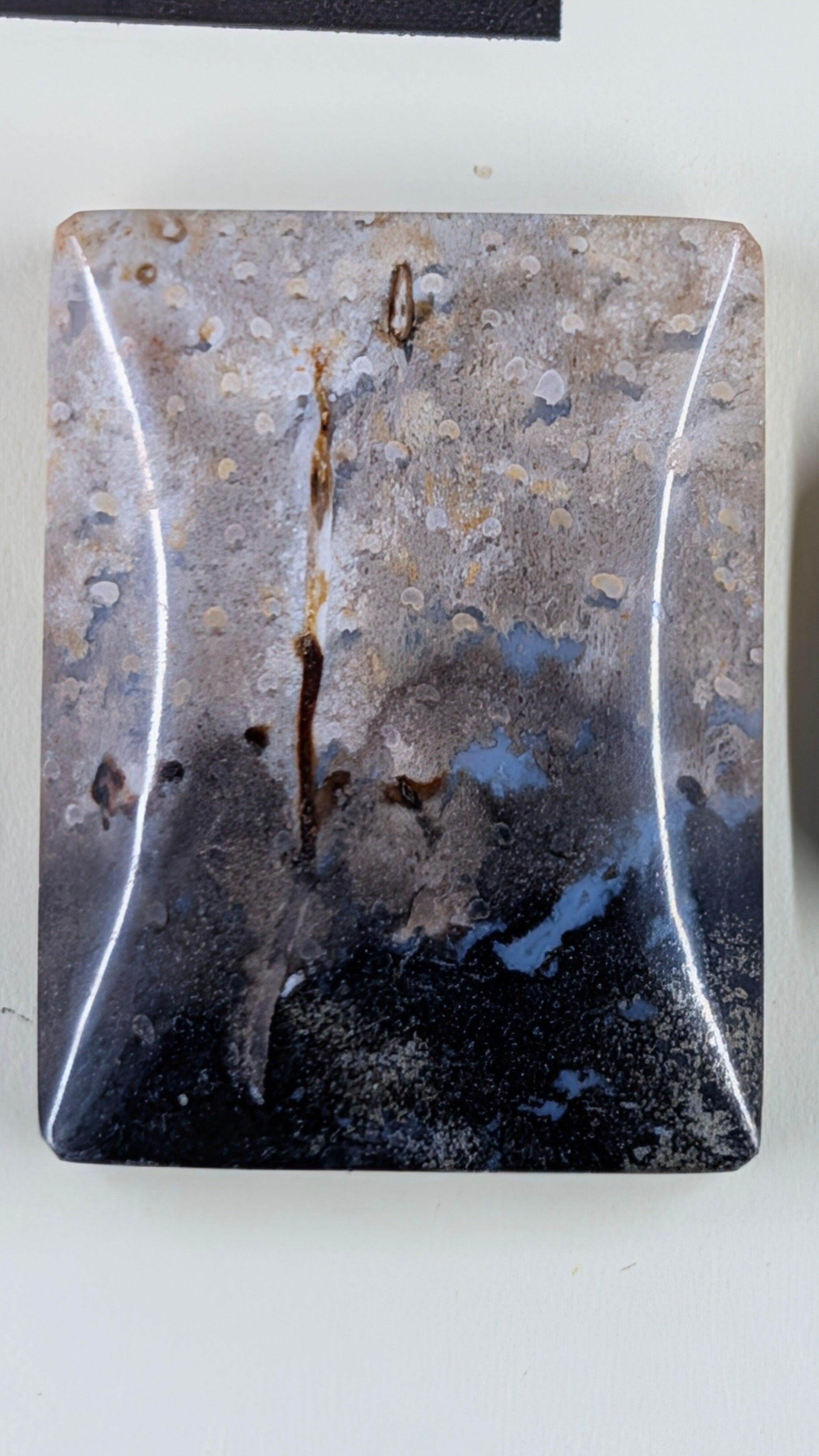 Rectangle Shape - Fossilized Palm Root - Design-Ready Set