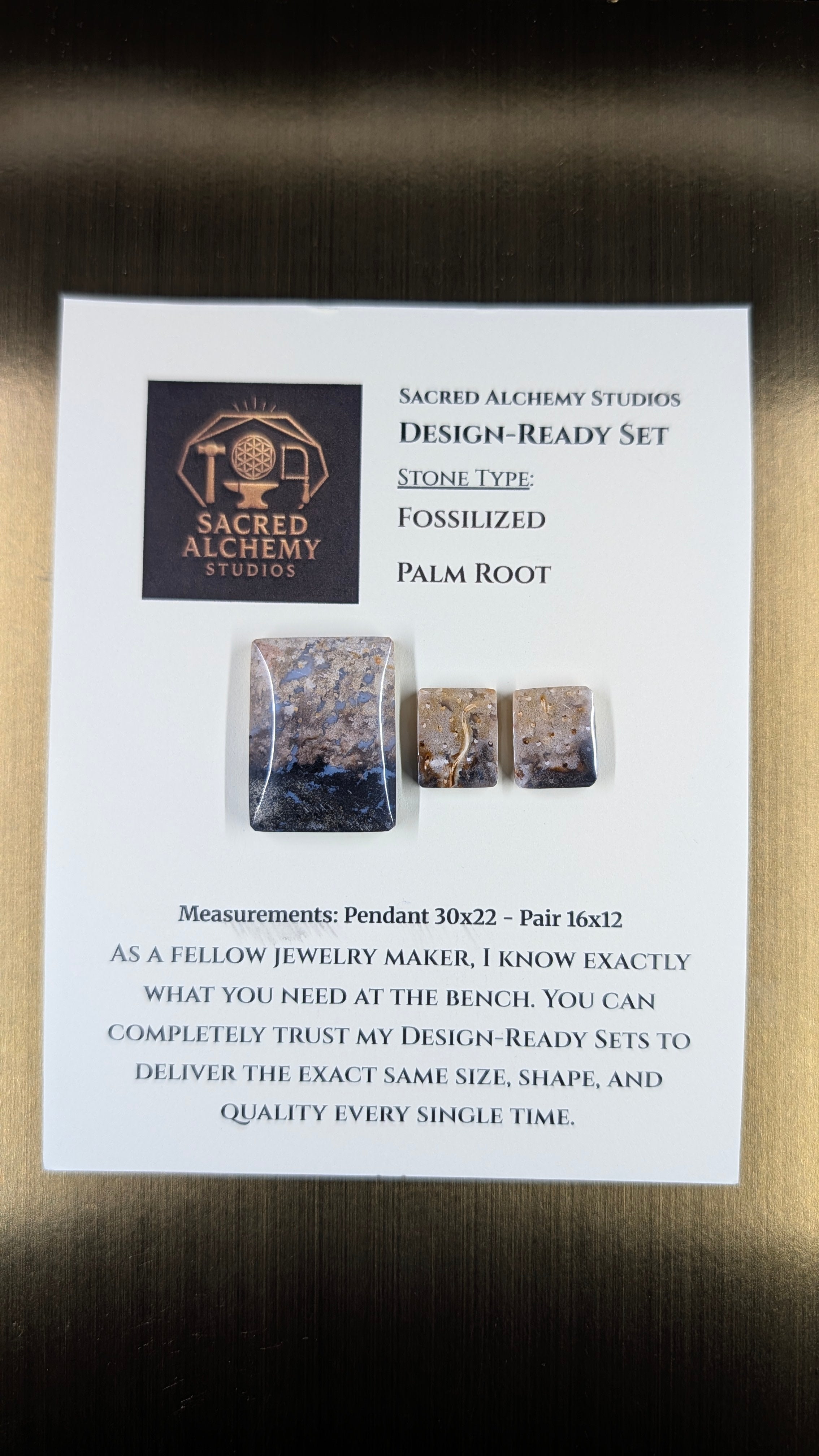 Rectangle Shape - Fossilized Palm Root - Design-Ready Set