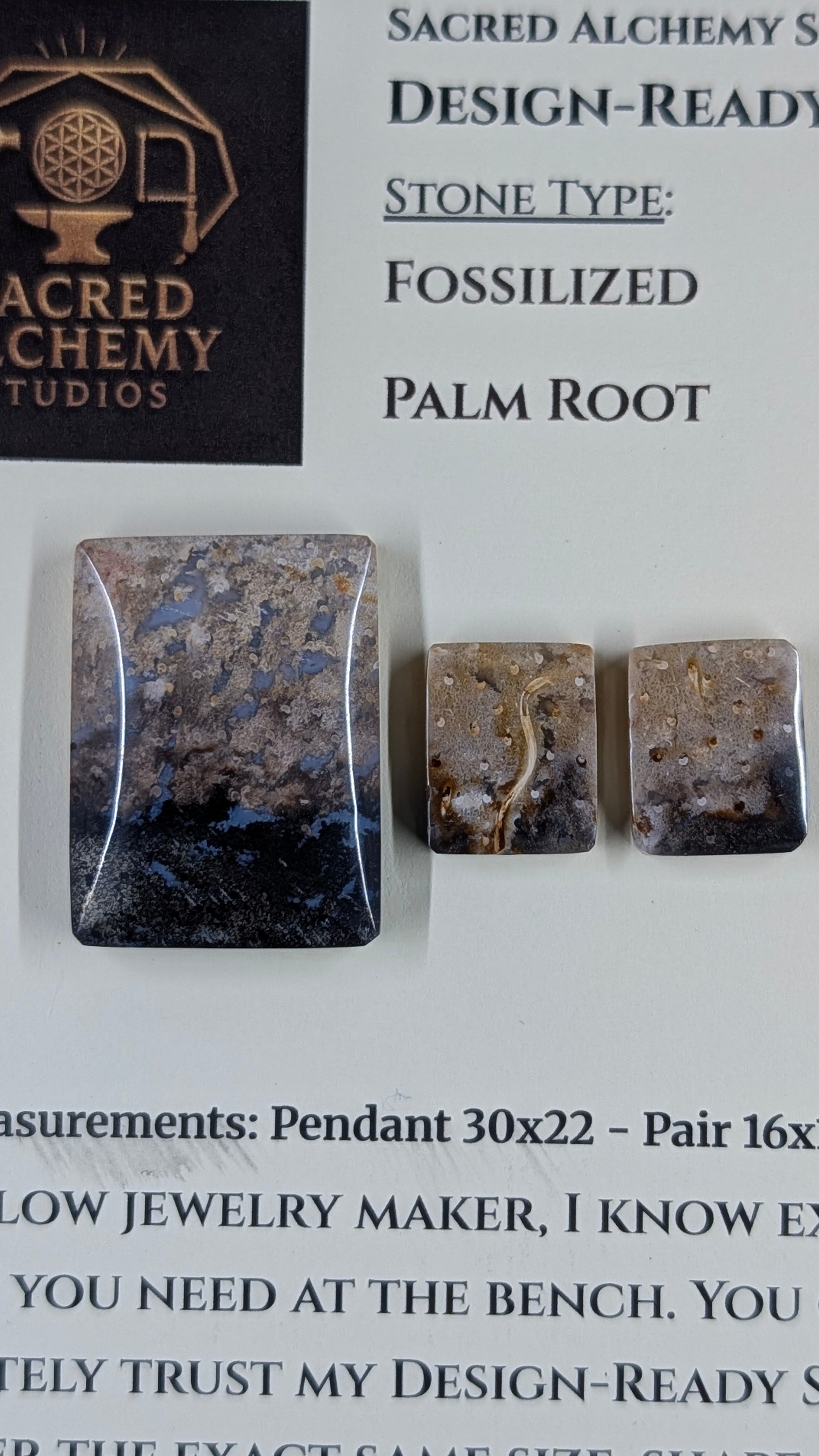 Rectangle Shape - Fossilized Palm Root - Design-Ready Set