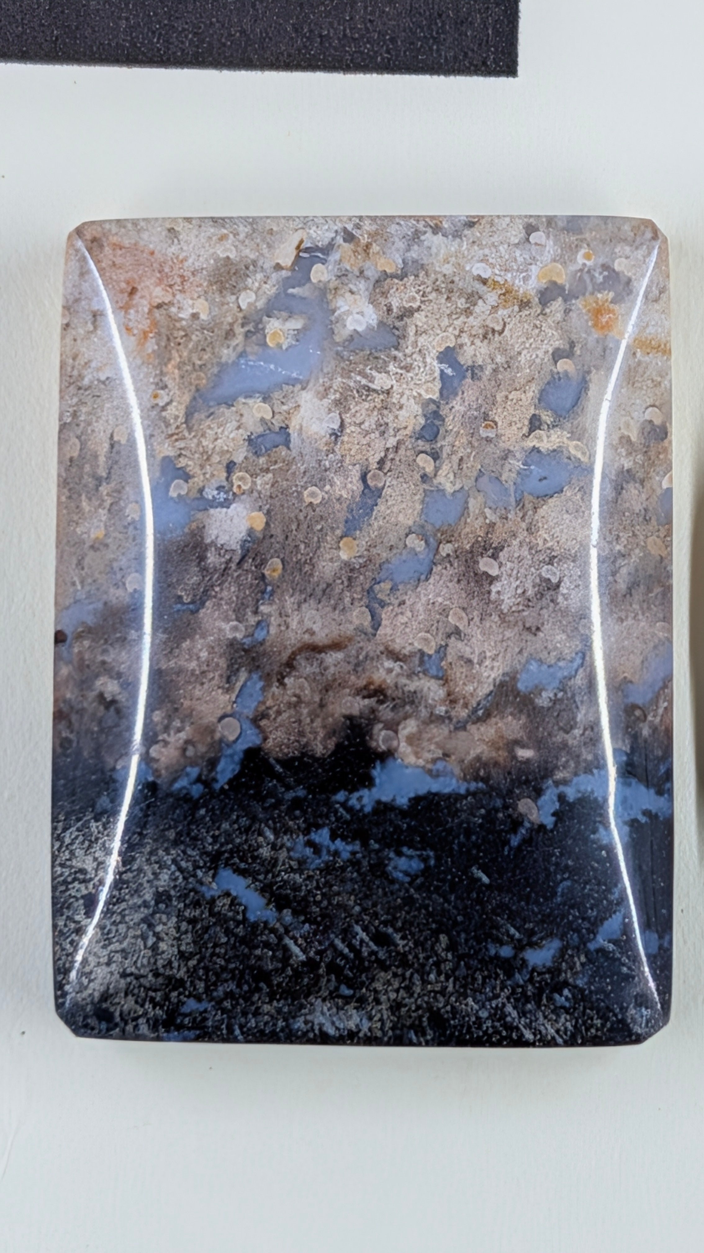 Rectangle Shape - Fossilized Palm Root - Design-Ready Set