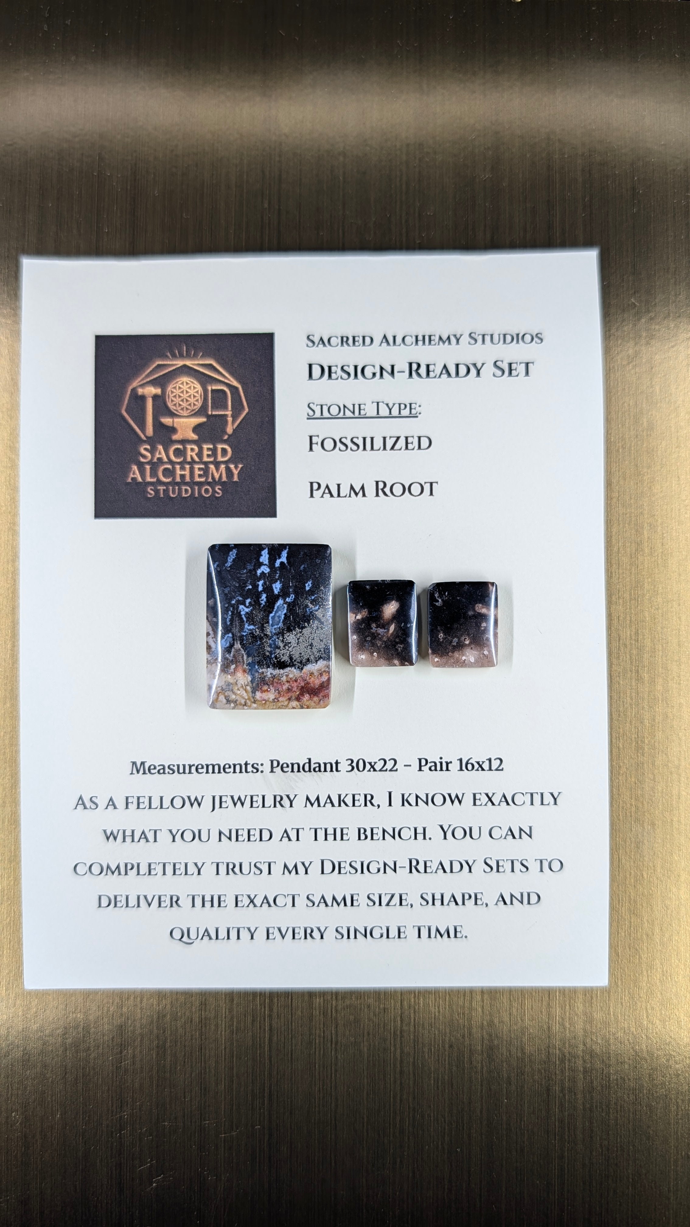 Rectangle Shape - Fossilized Palm Root - Design-Ready Set