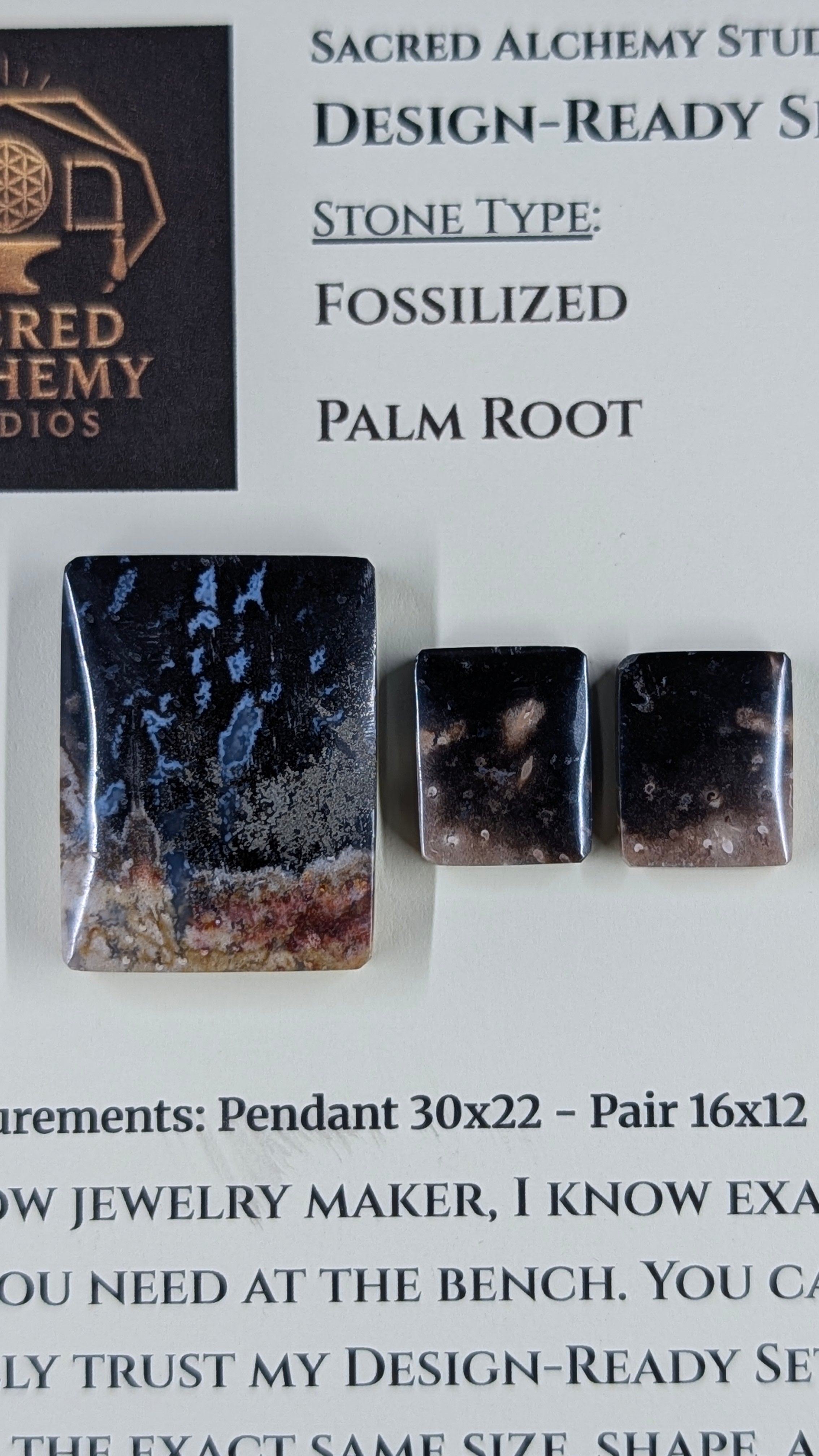 Rectangle Shape - Fossilized Palm Root - Design-Ready Set