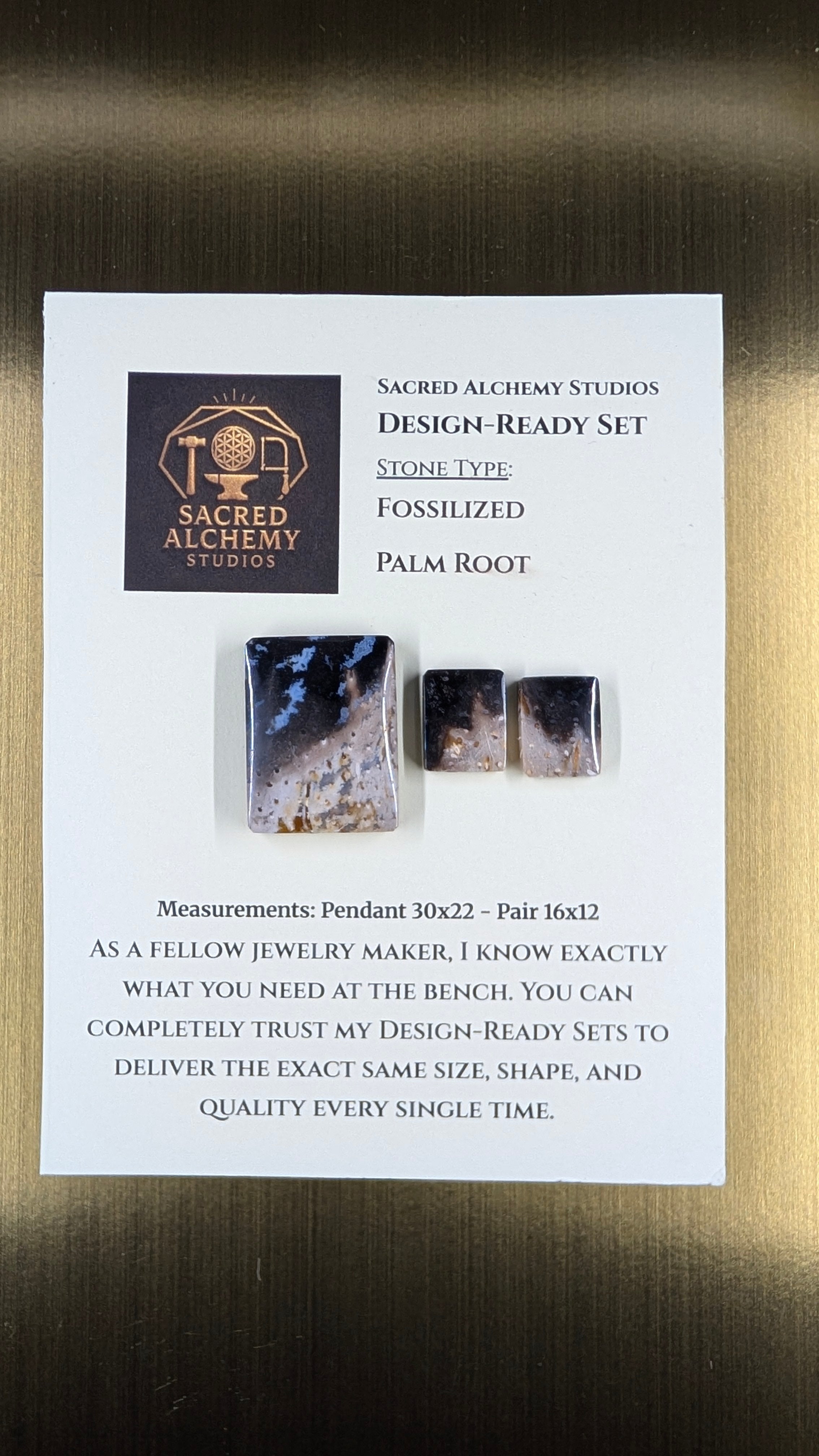 Rectangle Shape - Fossilized Palm Root - Design-Ready Set