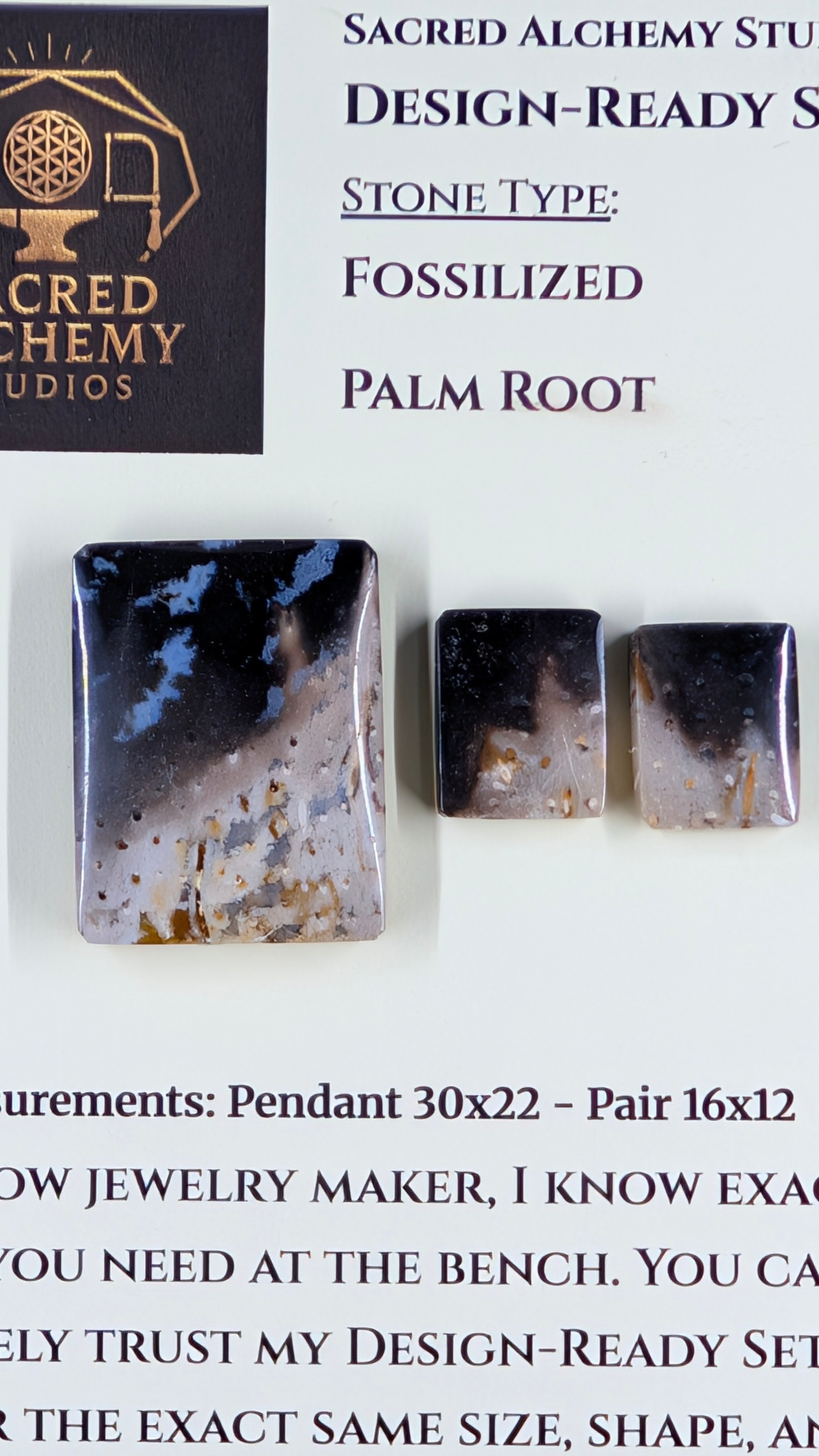 Rectangle Shape - Fossilized Palm Root - Design-Ready Set