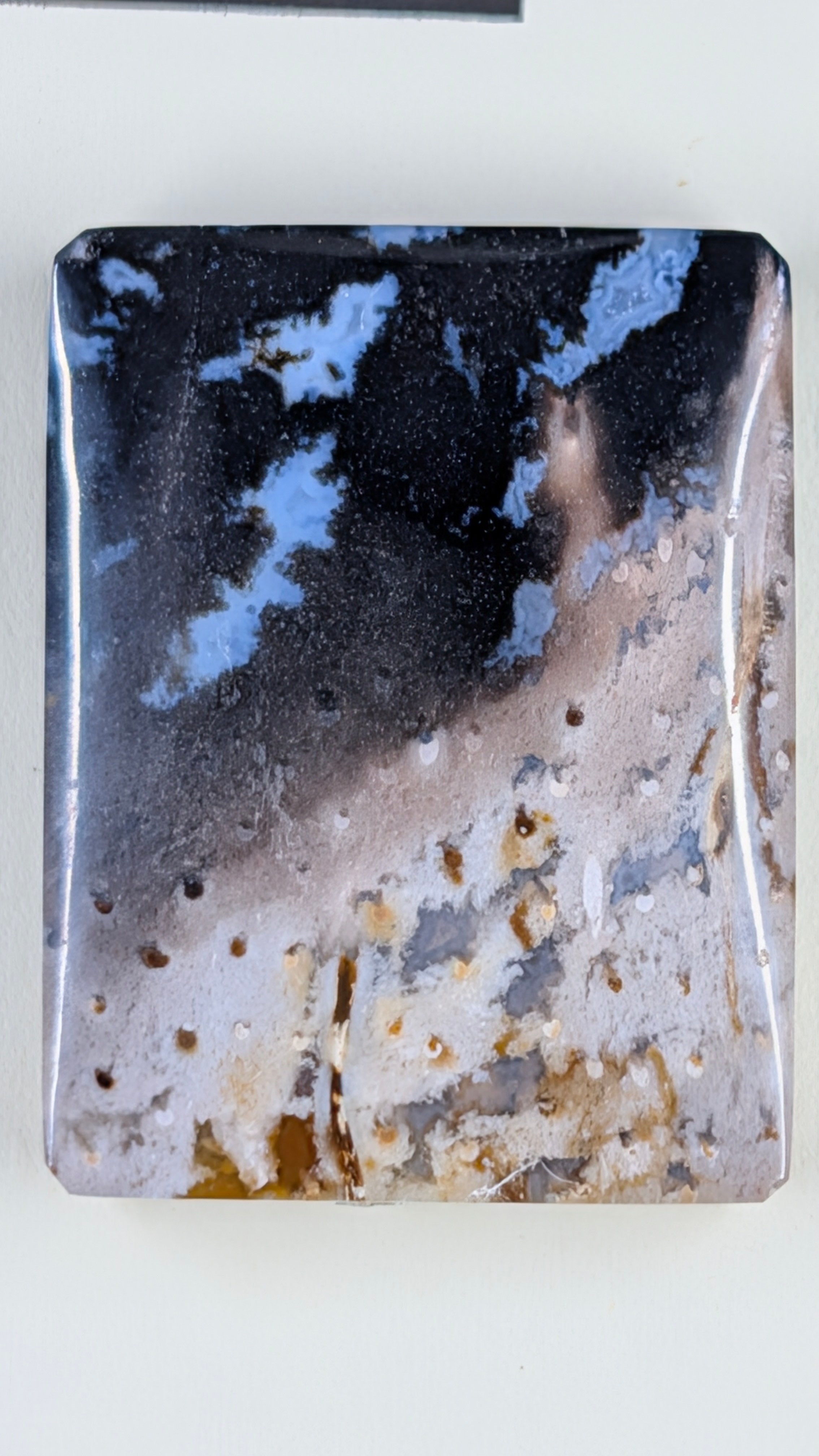 Rectangle Shape - Fossilized Palm Root - Design-Ready Set