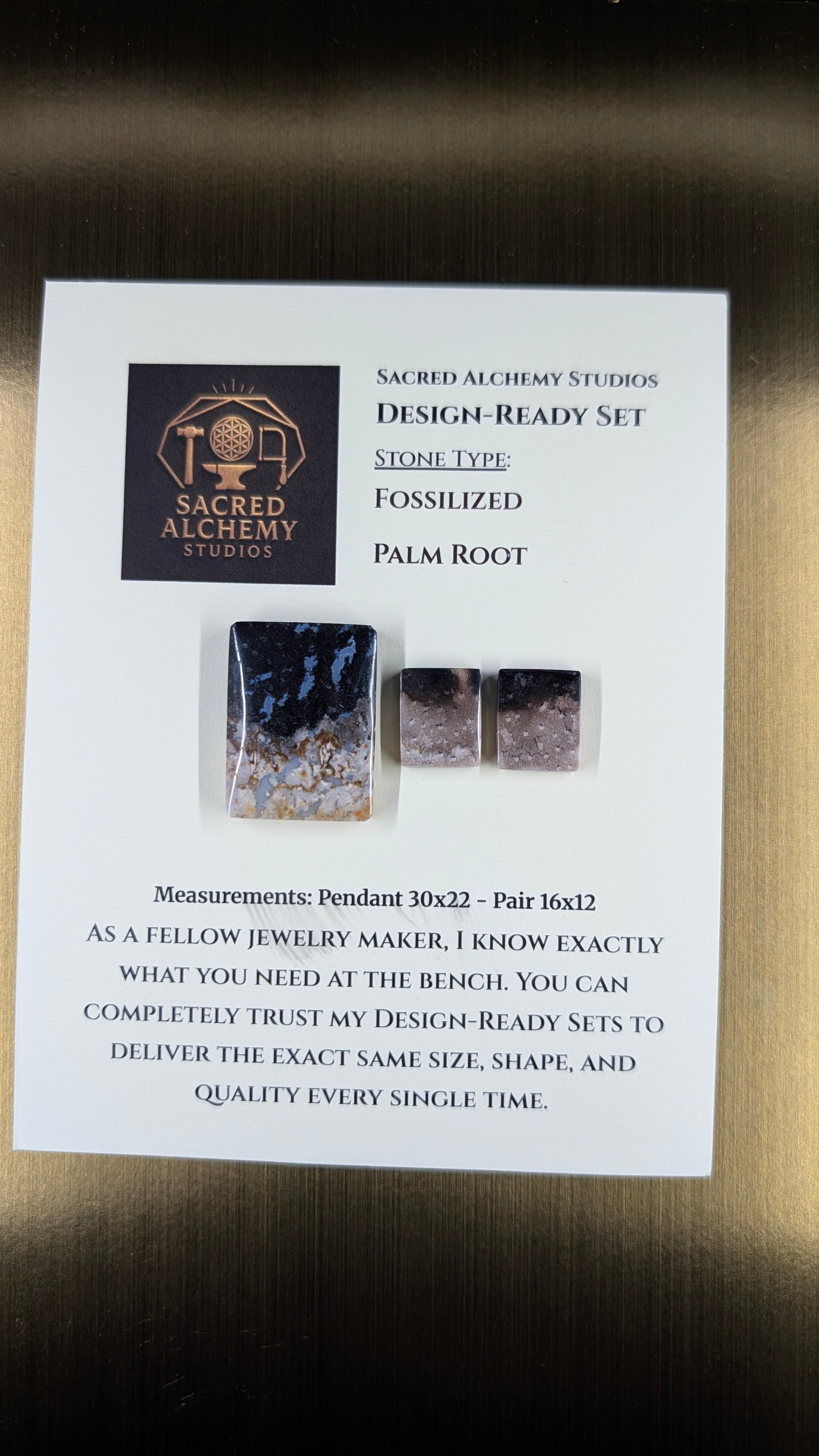 Rectangle Shape - Fossilized Palm Root - Design-Ready Set