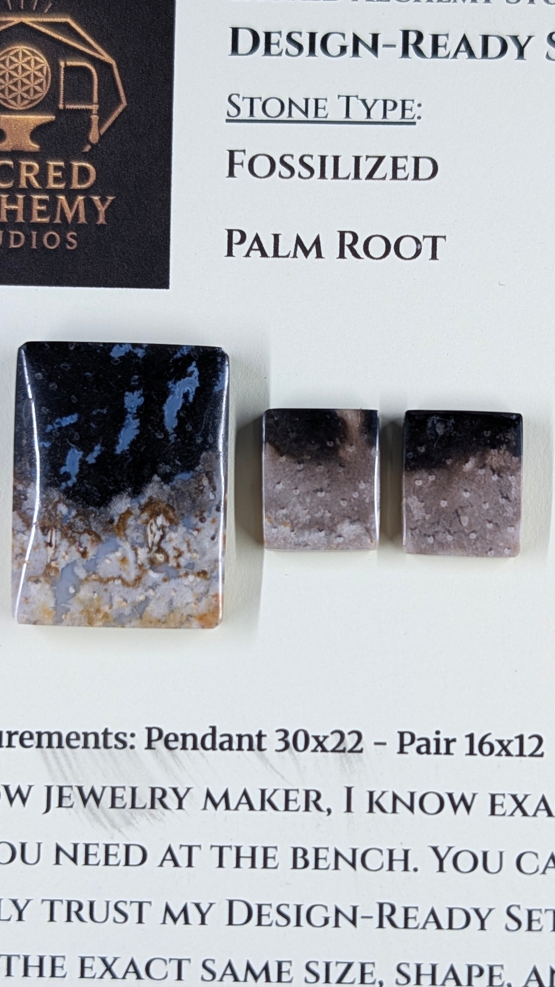 Rectangle Shape - Fossilized Palm Root - Design-Ready Set