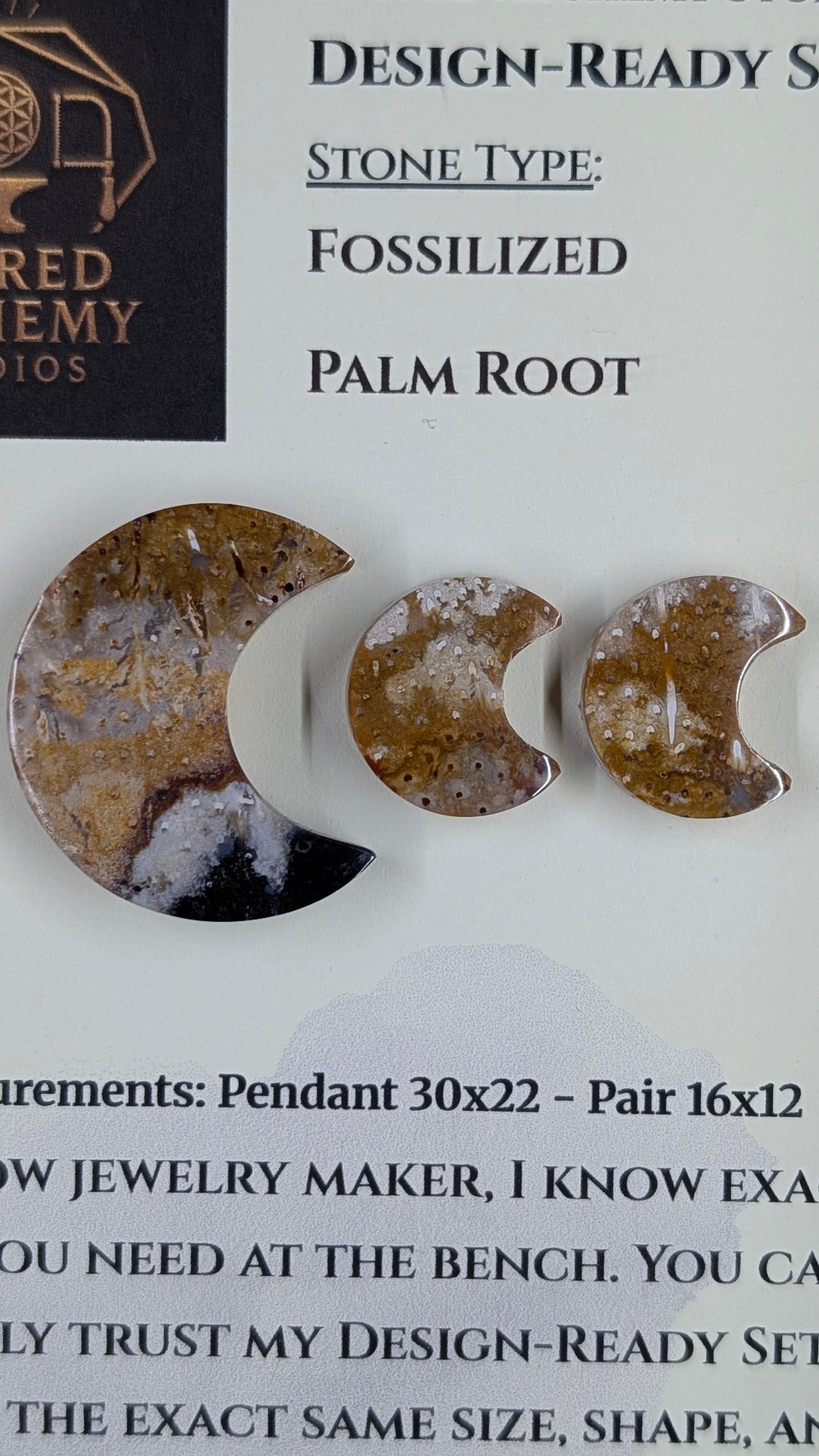 Crescent Moon - Fossilized Palm Root - Design-Ready Set