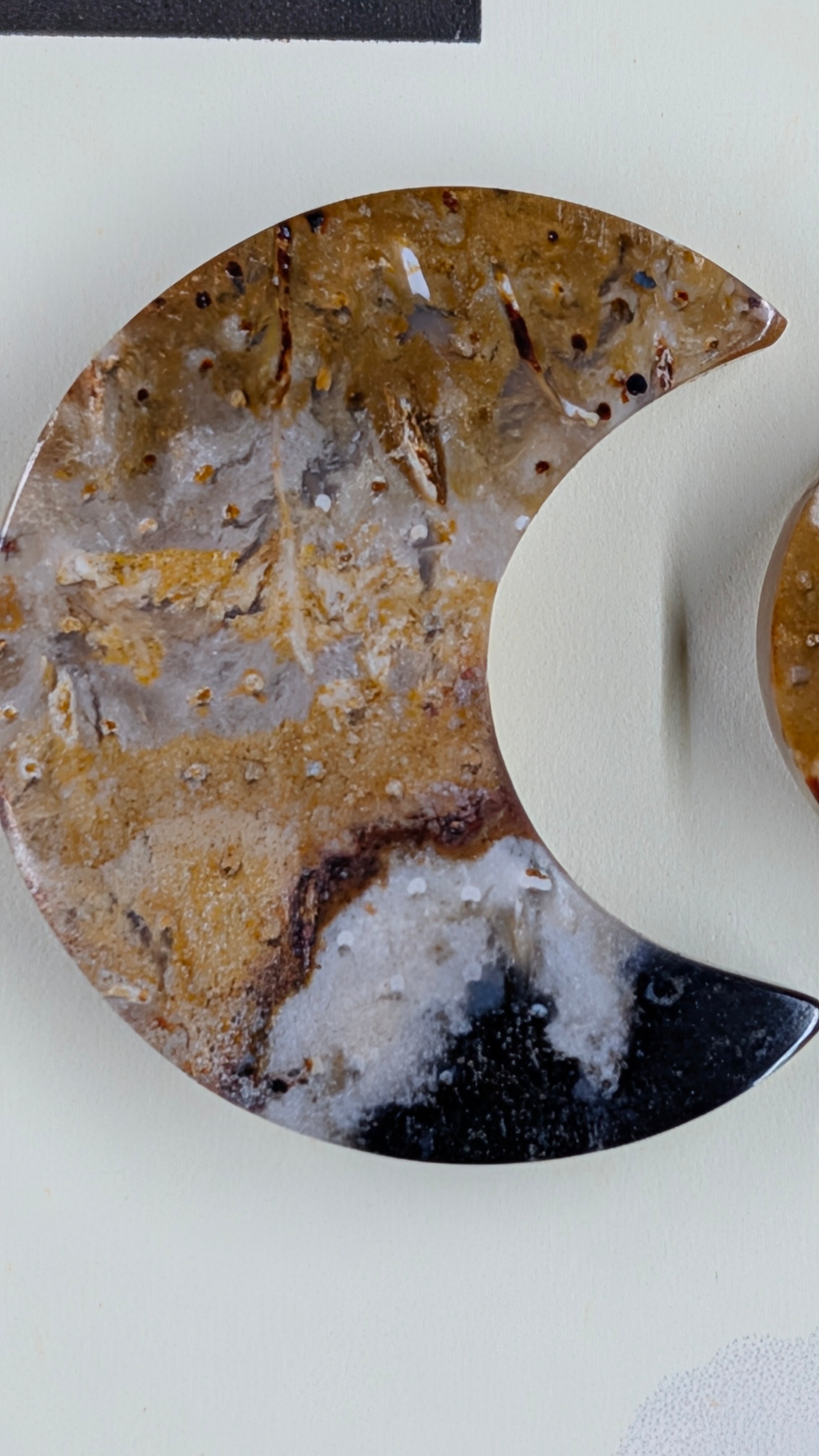 Crescent Moon - Fossilized Palm Root - Design-Ready Set