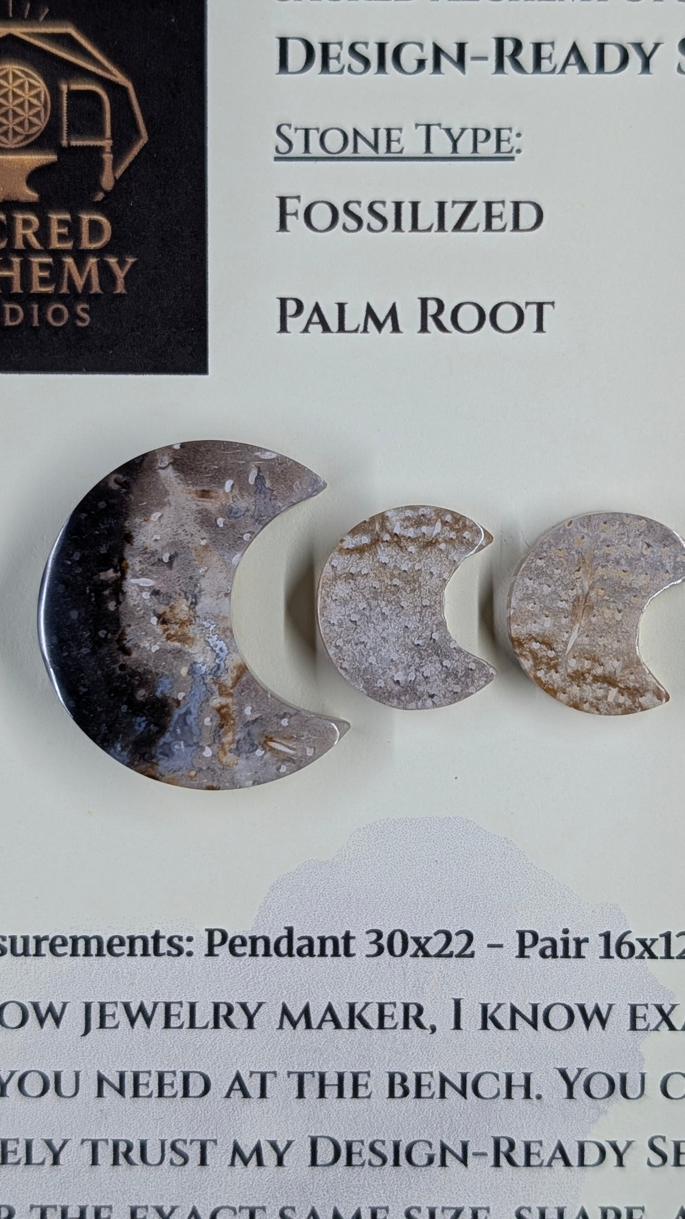 Crescent Moon - Fossilized Palm Root - Design-Ready Set
