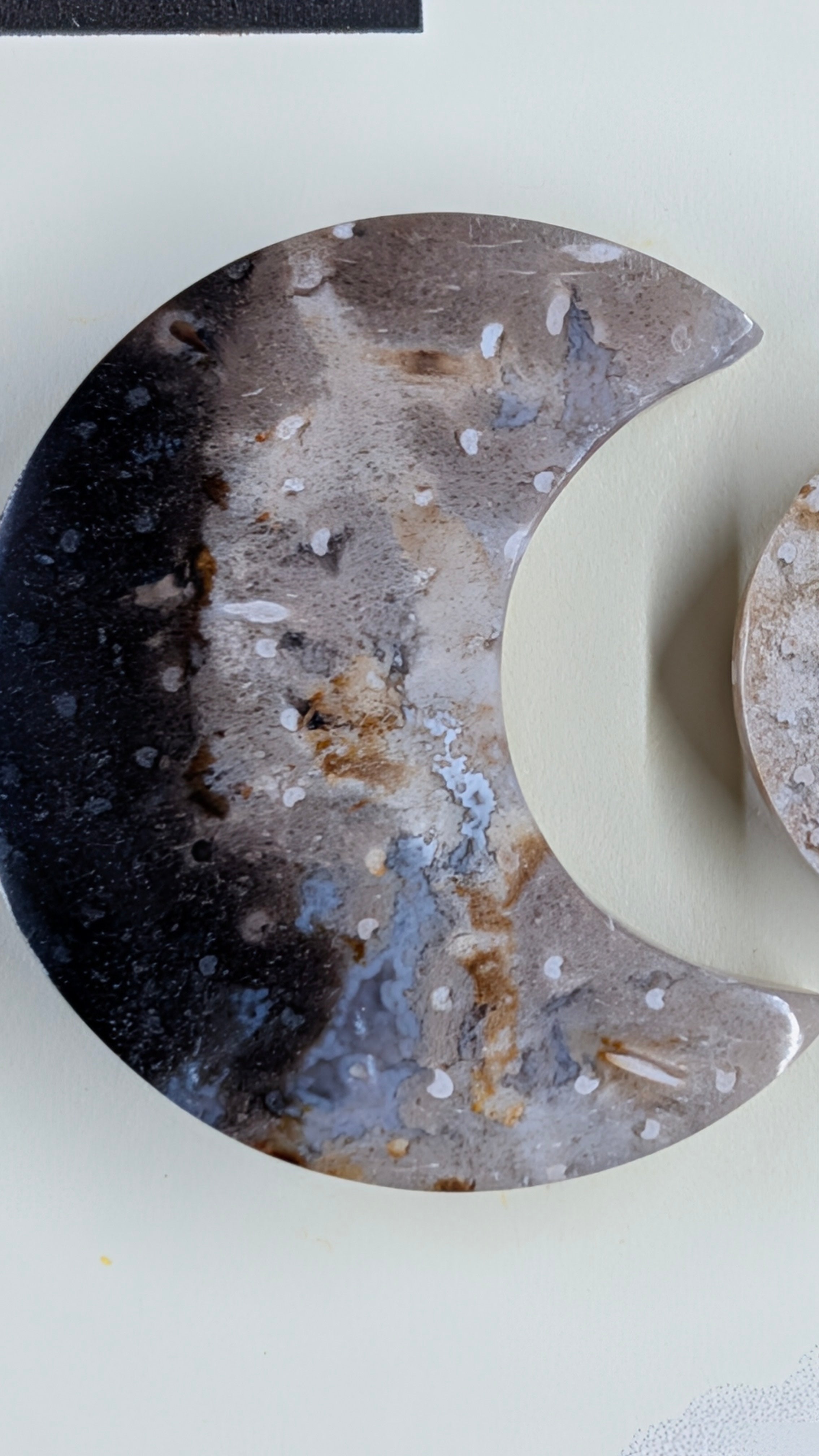 Crescent Moon - Fossilized Palm Root - Design-Ready Set