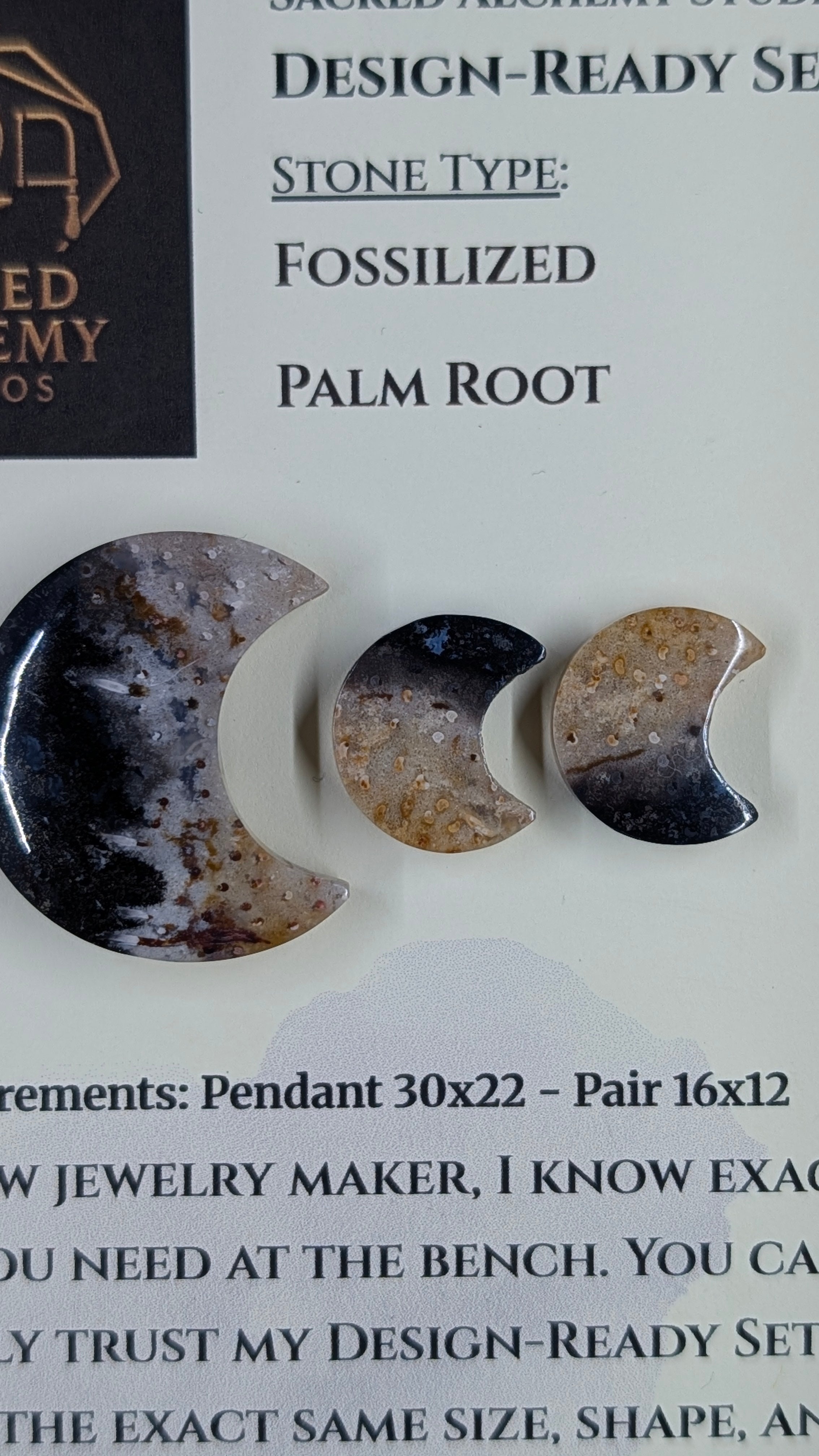 Crescent Moon - Fossilized Palm Root - Design-Ready Set