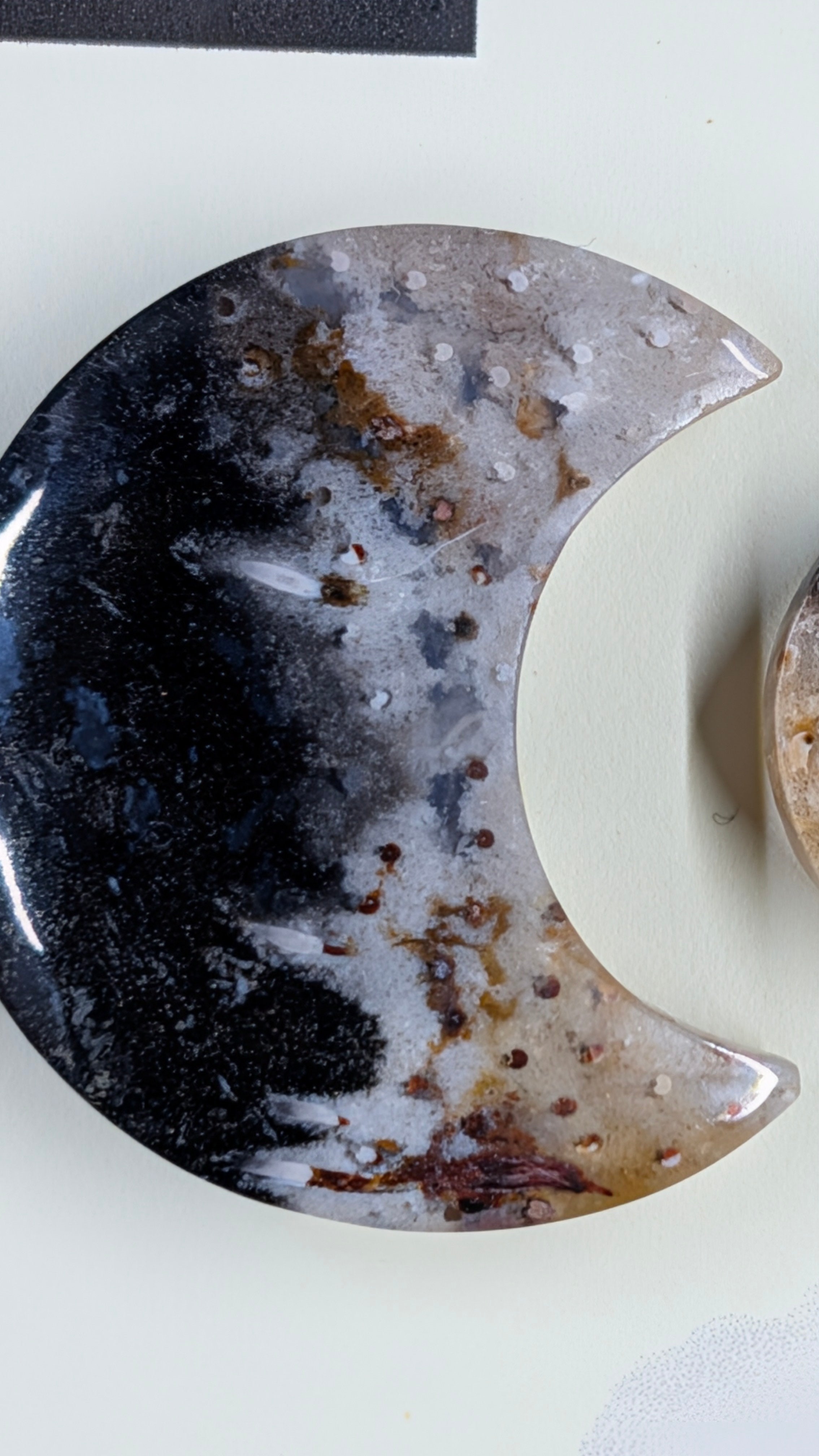 Crescent Moon - Fossilized Palm Root - Design-Ready Set