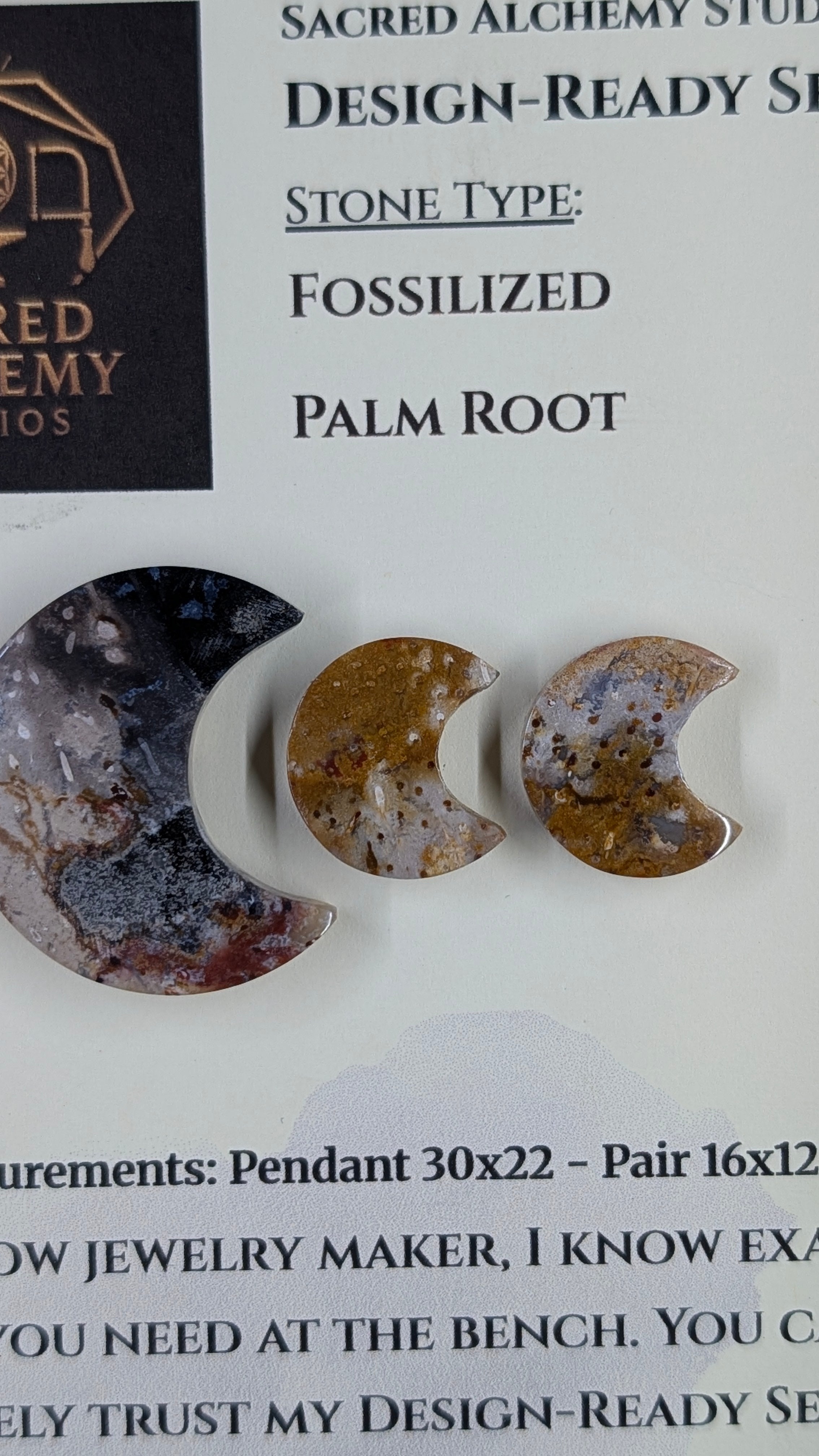 Crescent Moon - Fossilized Palm Root - Design-Ready Set