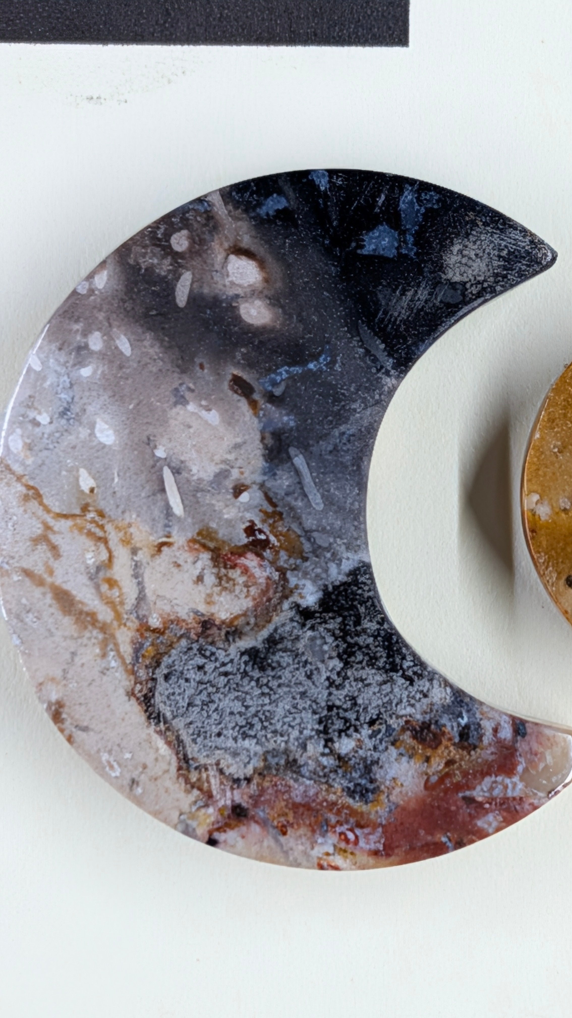 Crescent Moon - Fossilized Palm Root - Design-Ready Set