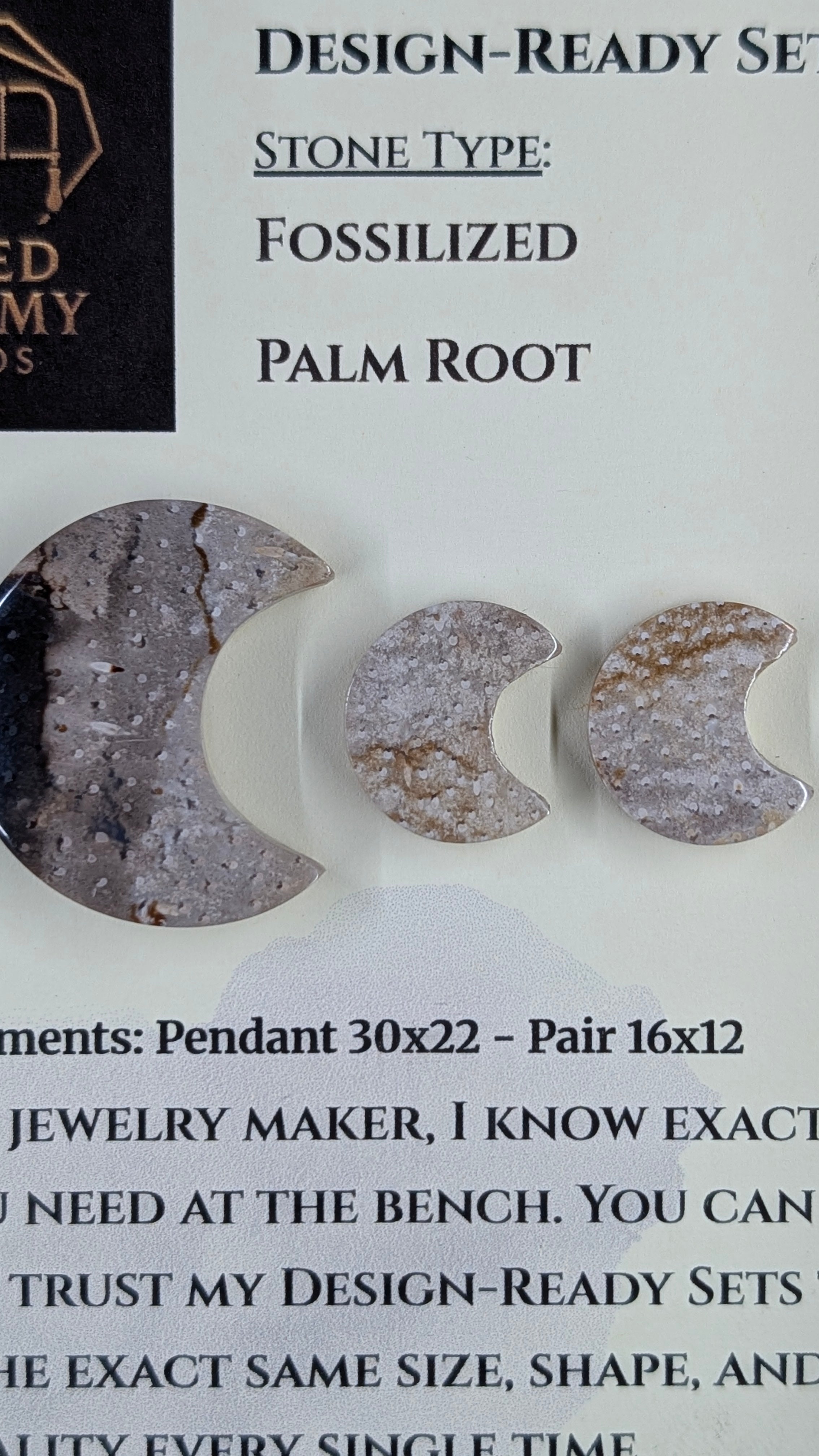Crescent Moon - Fossilized Palm Root - Design-Ready Set