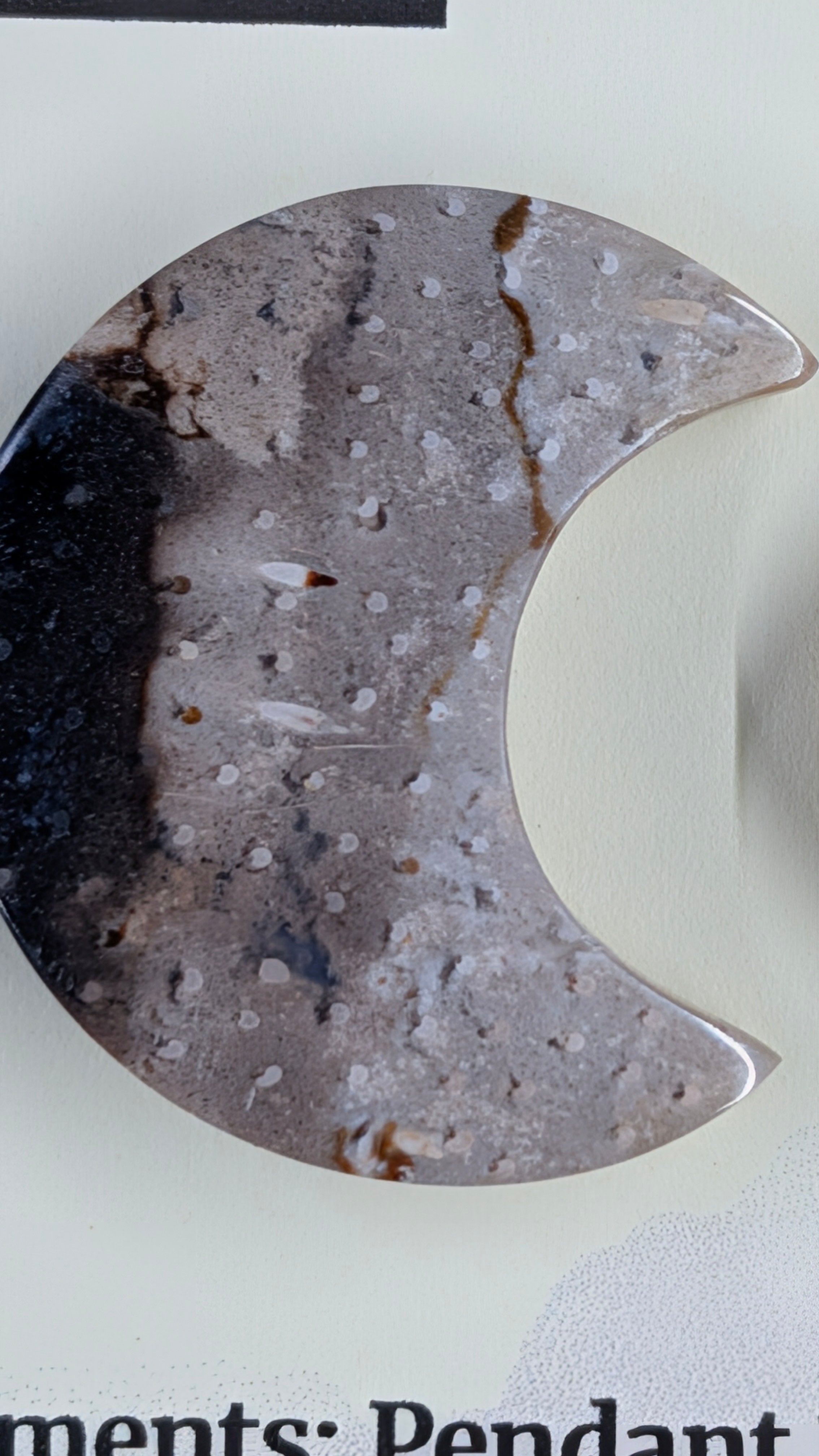 Crescent Moon - Fossilized Palm Root - Design-Ready Set