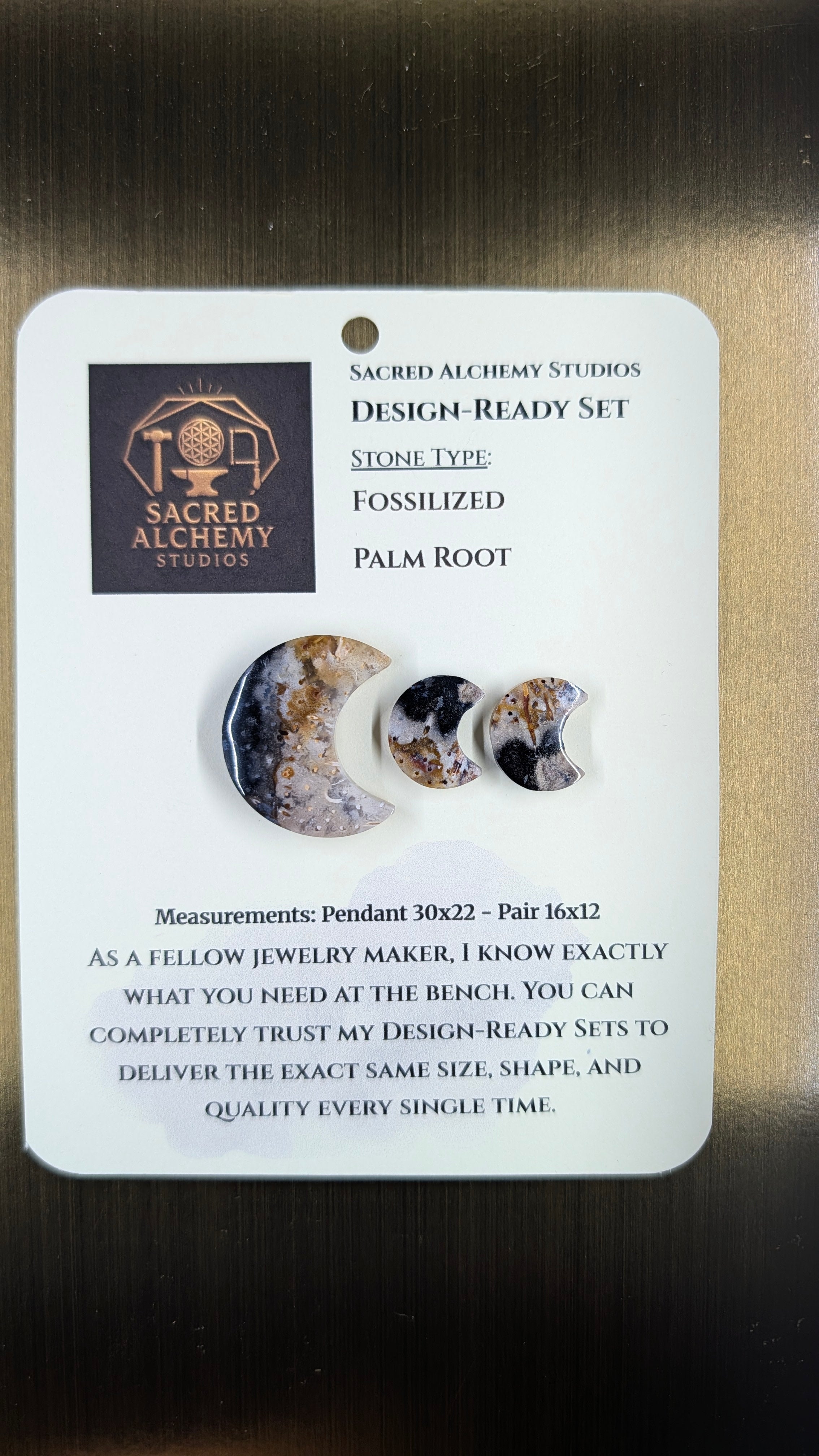 Crescent Moon - Fossilized Palm Root - Design-Ready Set